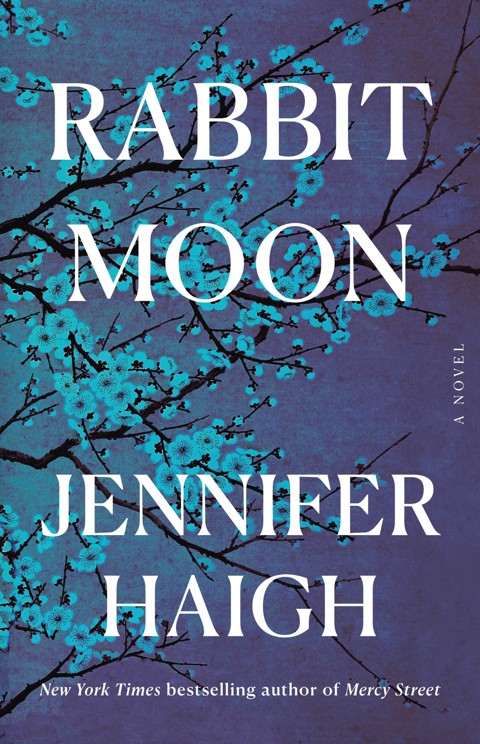 Vorderes Coverbild Rabbit Moon