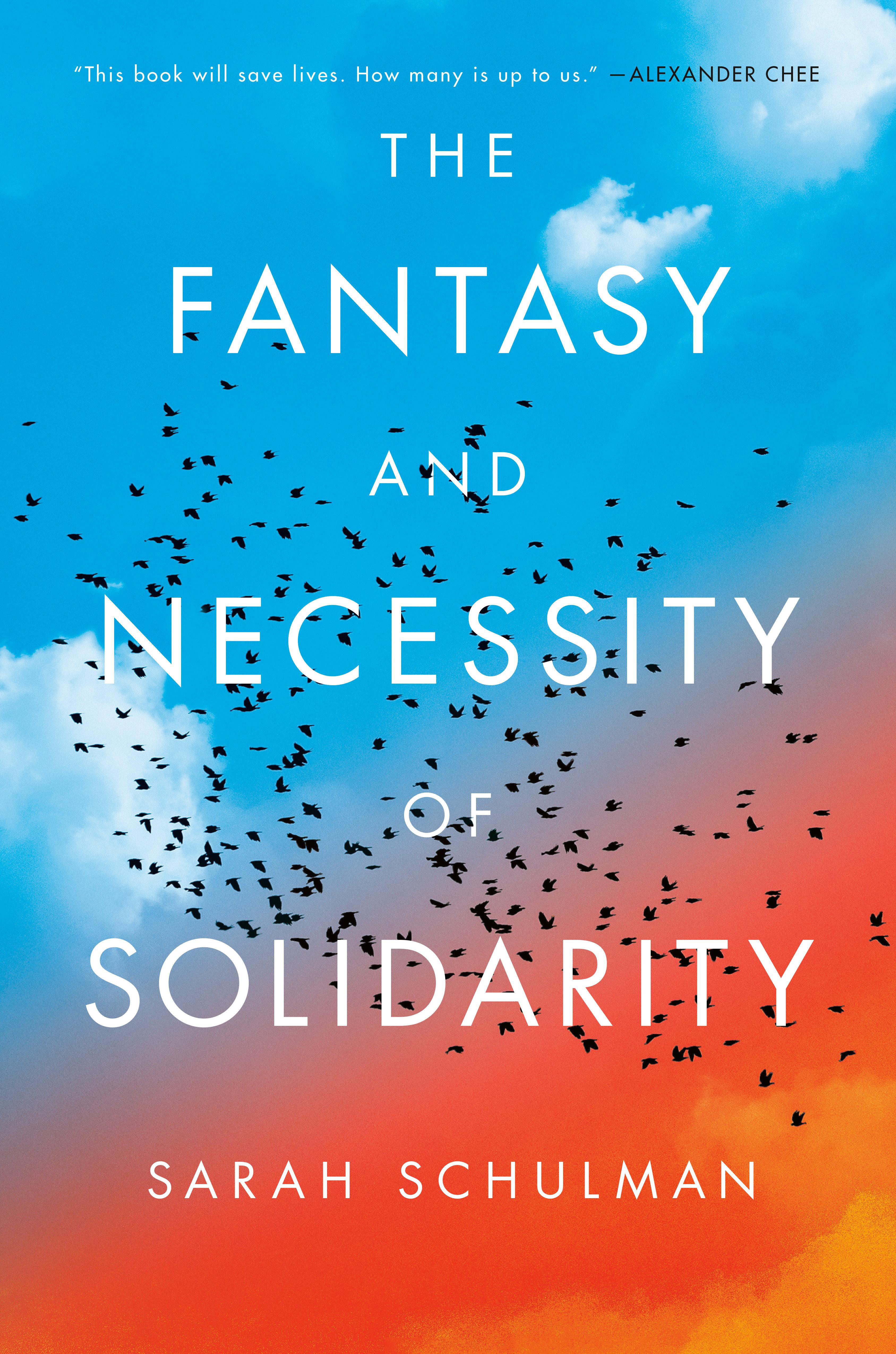 Vorderes Coverbild The Fantasy and Necessity of Solidarity