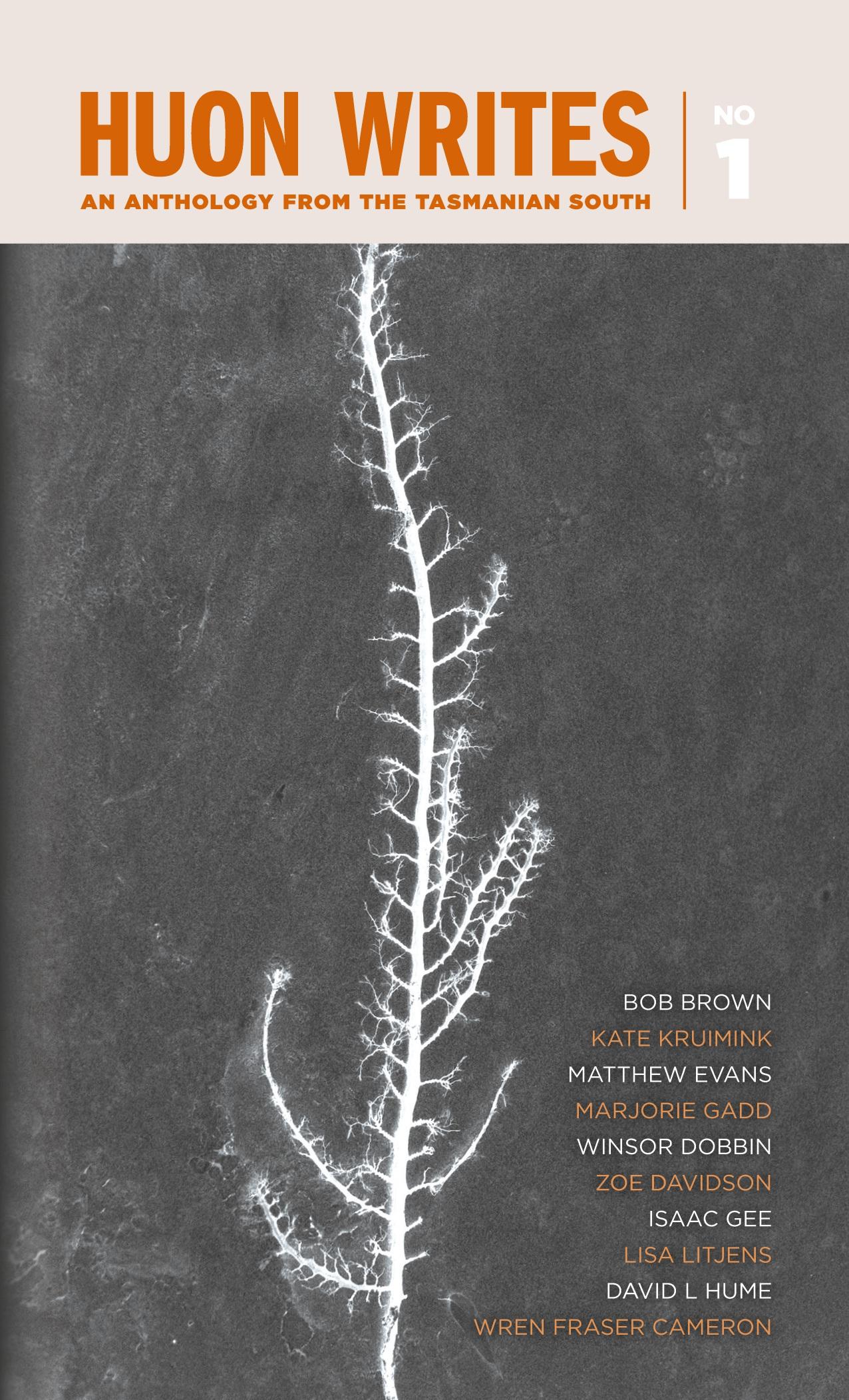 Vorderes Coverbild Huon Writes