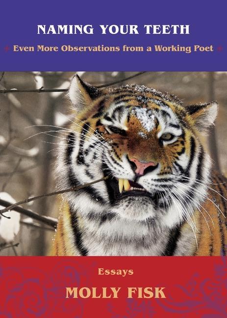 Vorderes Coverbild Naming Your Teeth