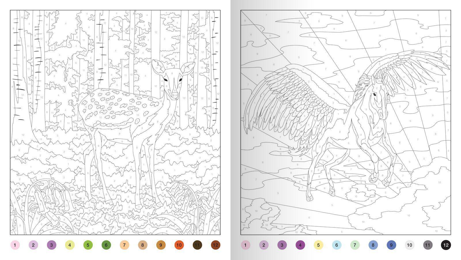 Beispielinhalt (Bild) Wunderbares Malen nach Zahlen - Land der Magie