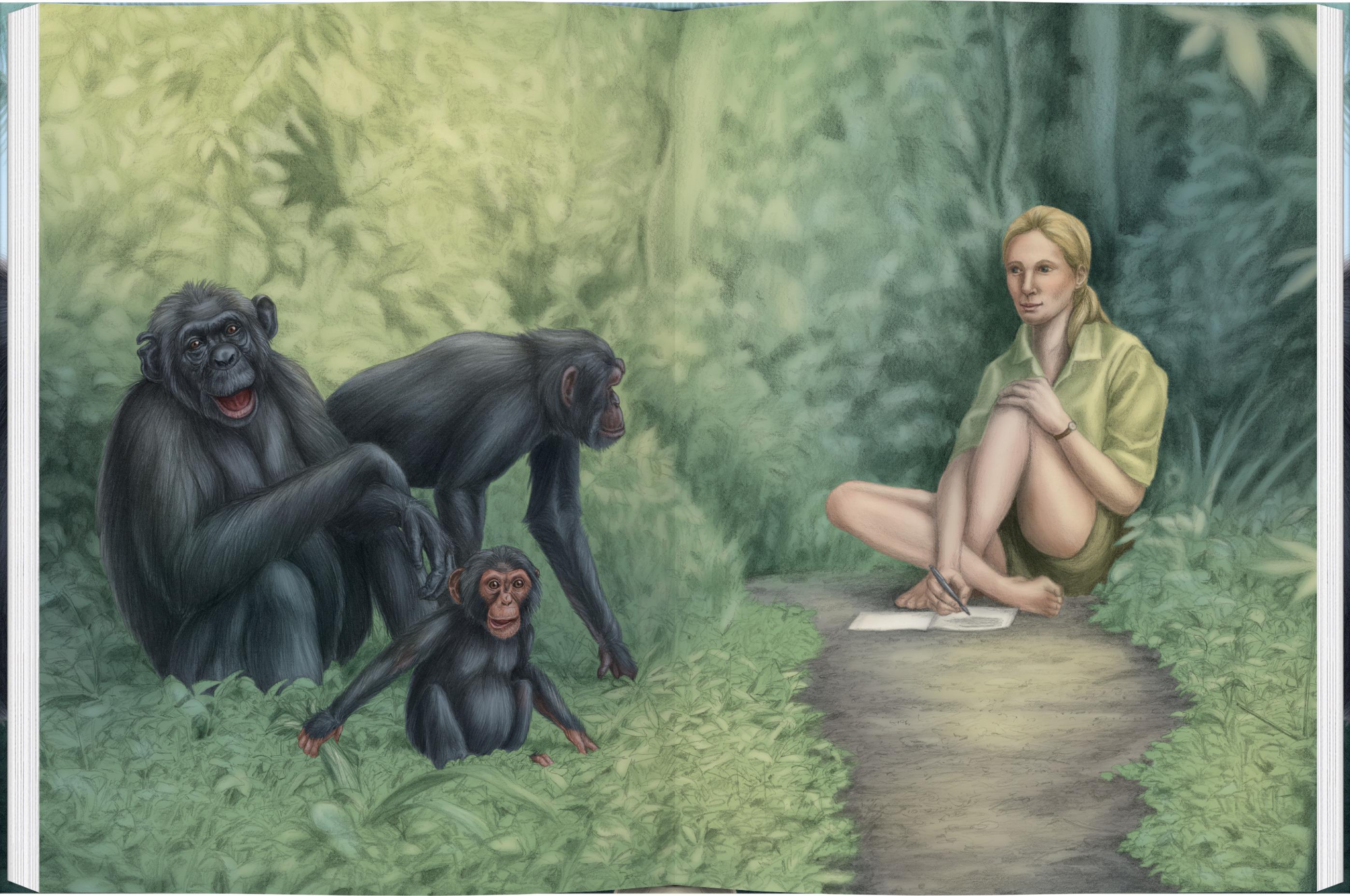Beispielinhalt (Bild) Mit Jane Goodall bei den wilden Schimpansen
