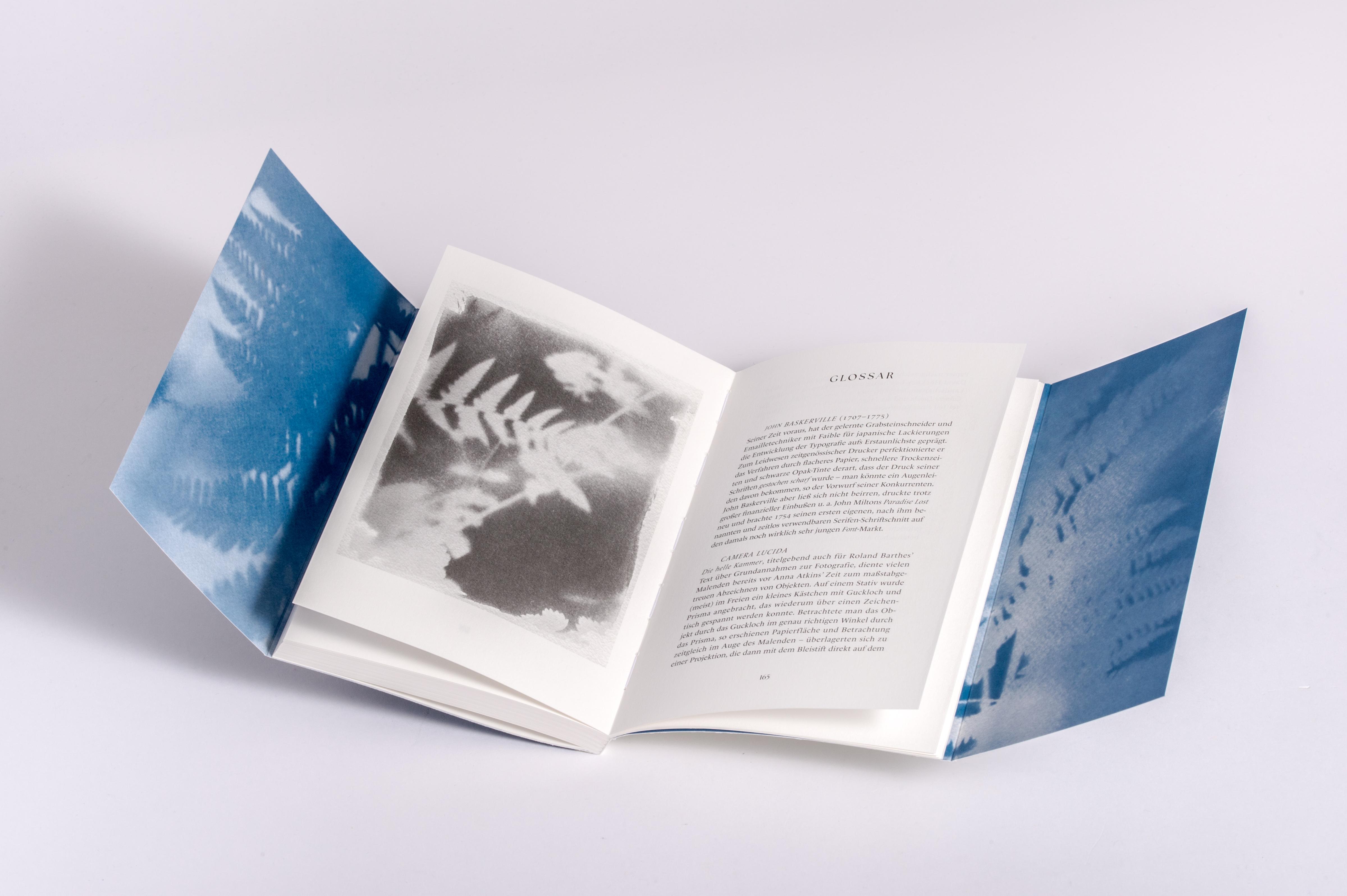 Beispielinhalt (Bild) Für Anna. Eine Belichtung