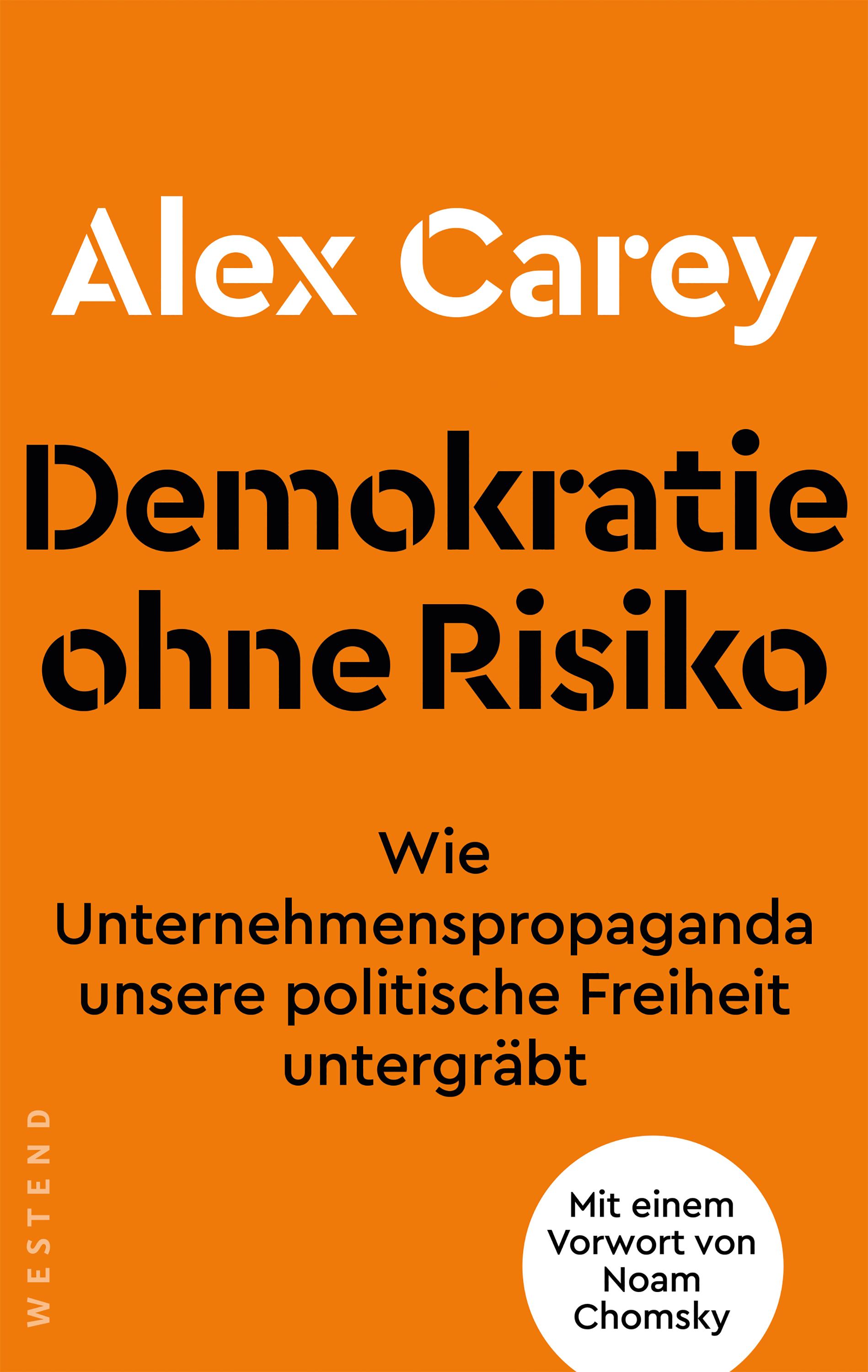Vorderes Coverbild Demokratie ohne Risiko