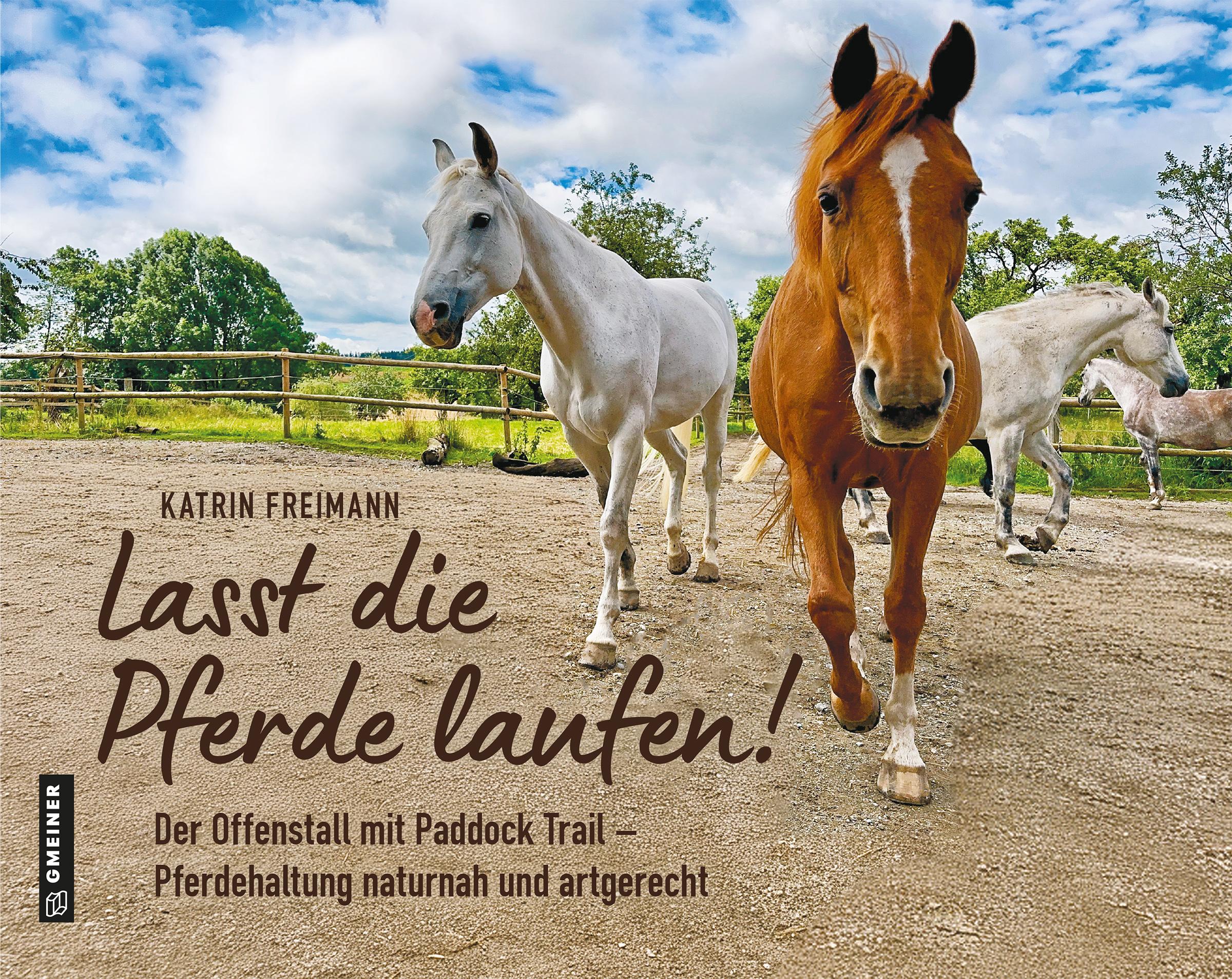 Vorderes Coverbild Lasst die Pferde laufen
