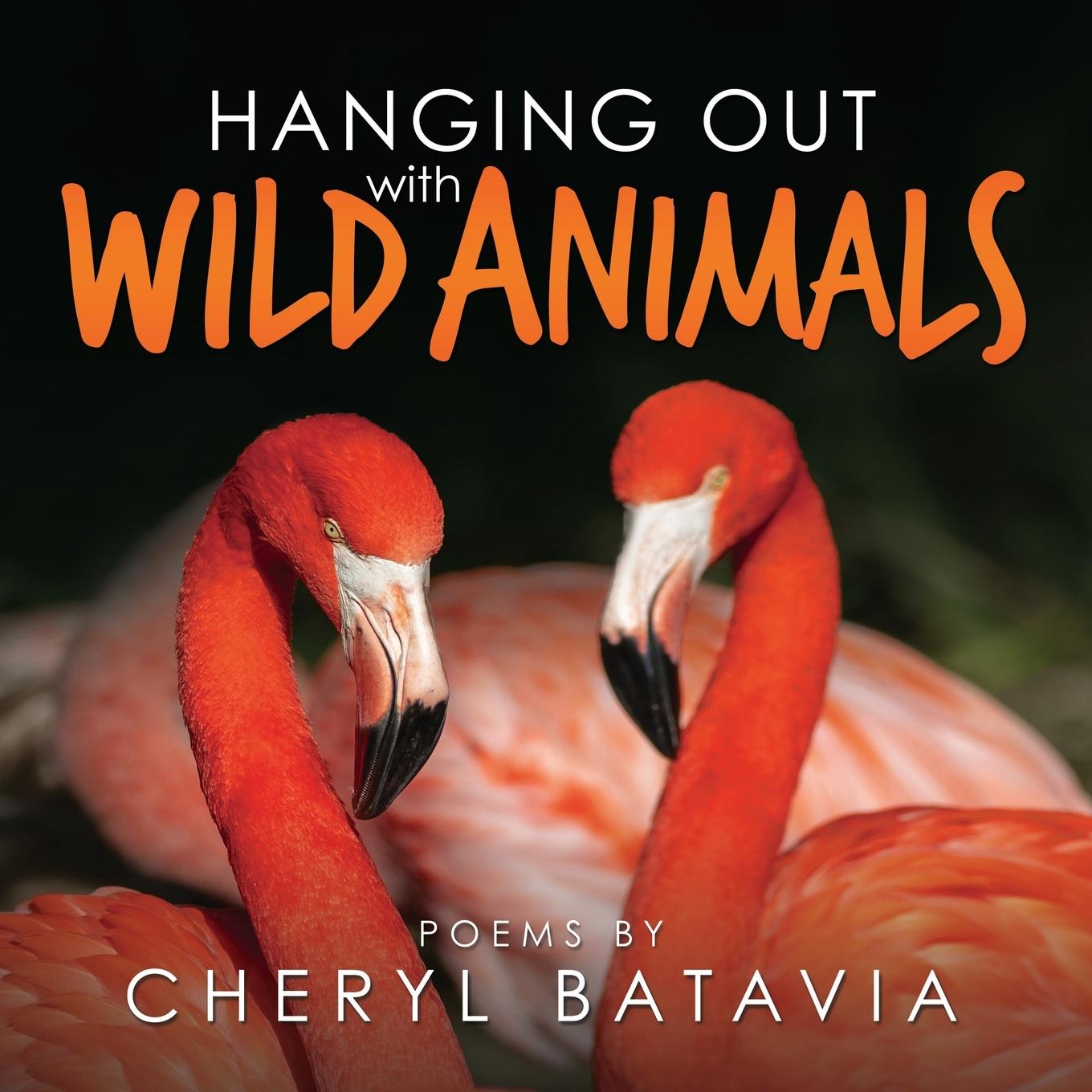 Vorderes Coverbild Hanging Out with Wild Animals