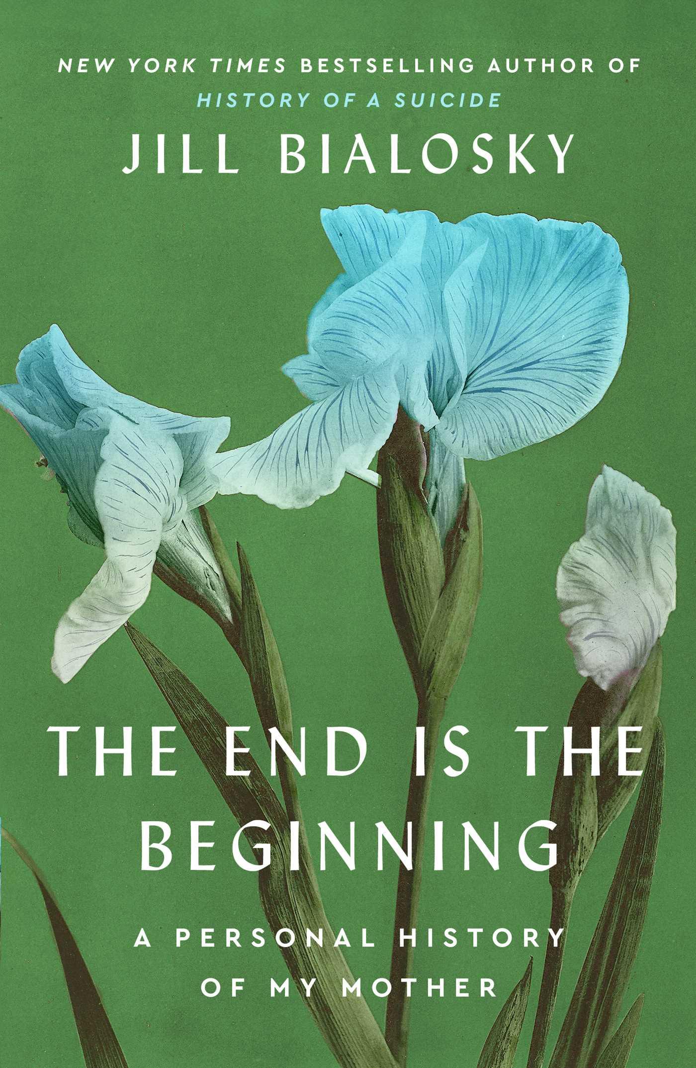 Vorderes Coverbild The End Is the Beginning