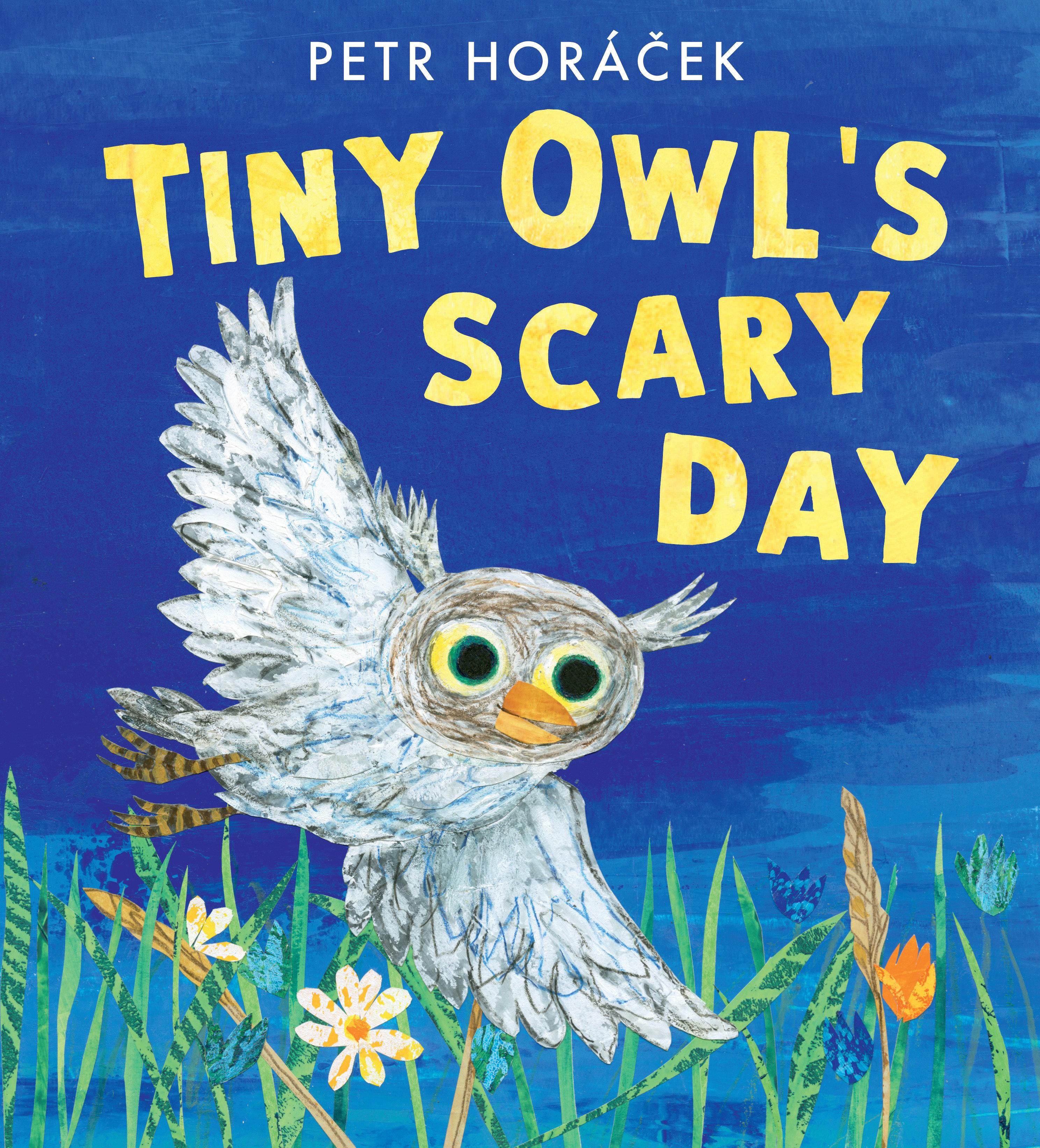 Vorderes Coverbild Tiny Owl's Scary Day