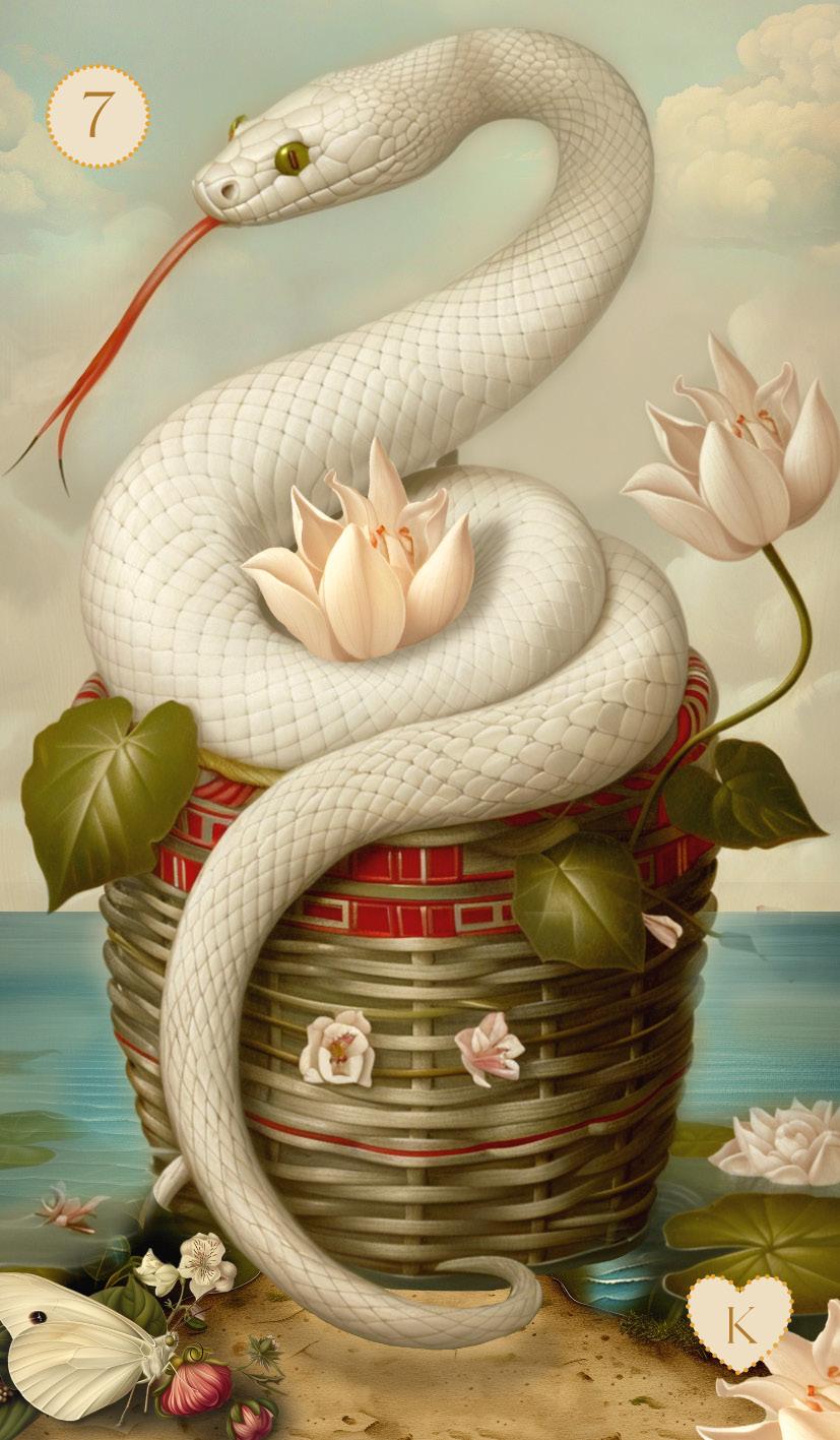 Beispielinhalt (Bild) Christephania Lenormand - 36 Karten & Booklet