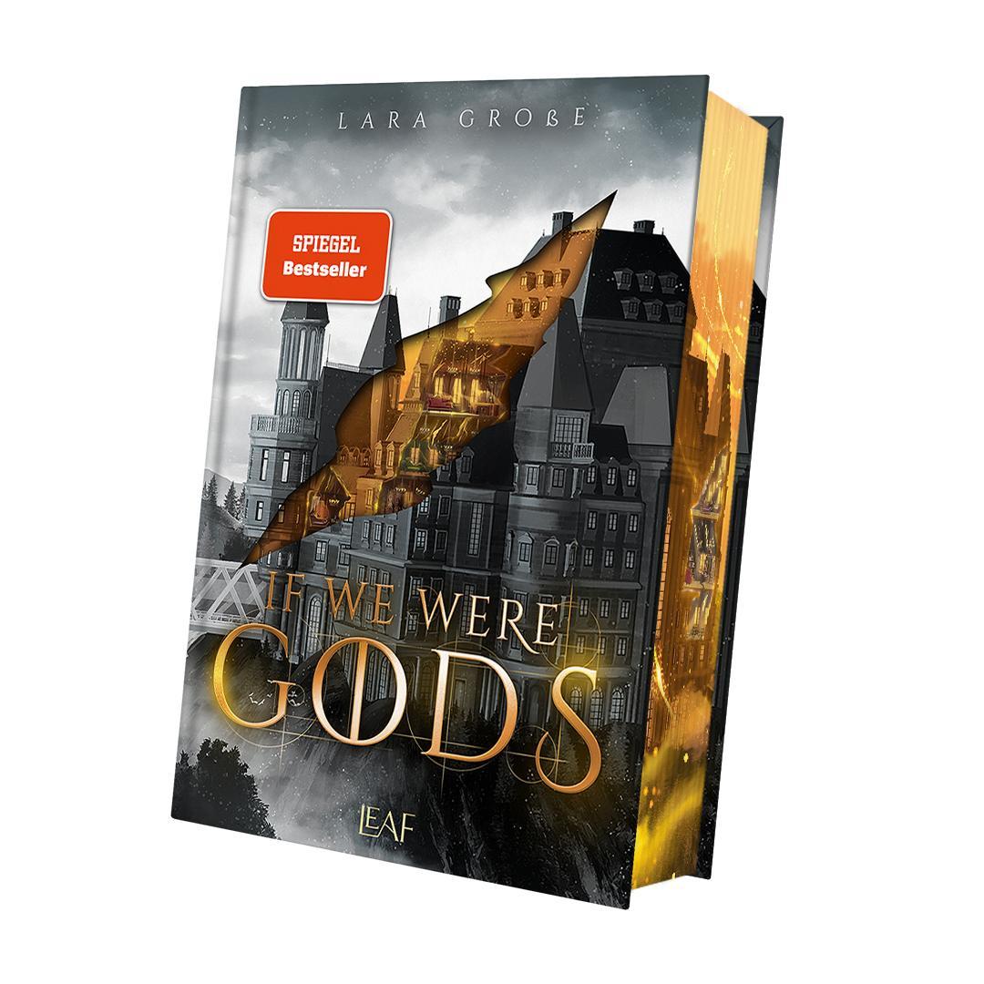 Vorderes Coverbild If We Were Gods
