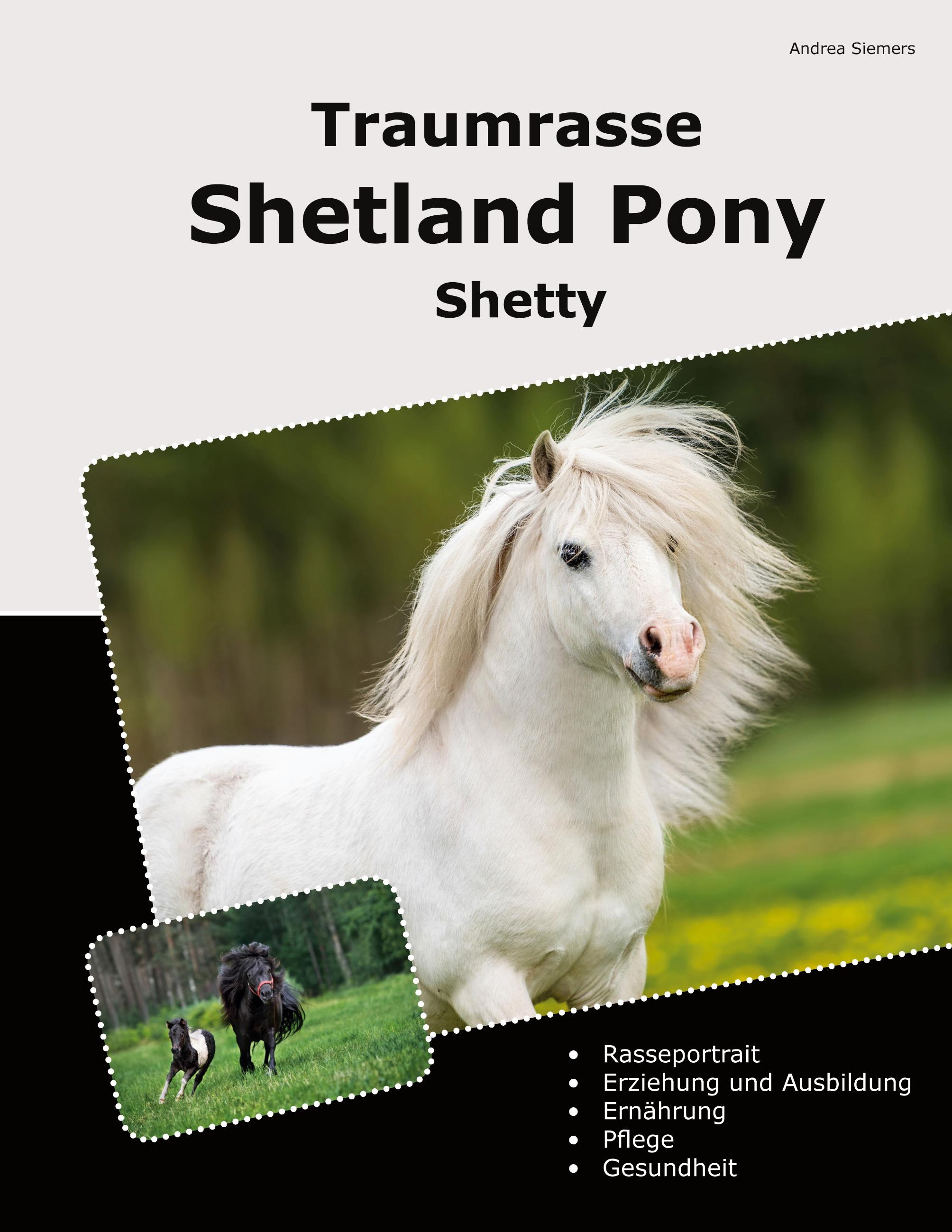 Vorderes Coverbild Traumrasse Shetland Pony
