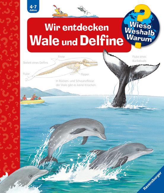 Vorderes Coverbild Wieso? Weshalb? Warum?, Band 41: Wir entdecken Wale und Delfine