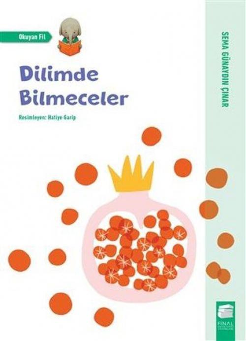 Vorderes Coverbild Dilimde Bilmeceler
