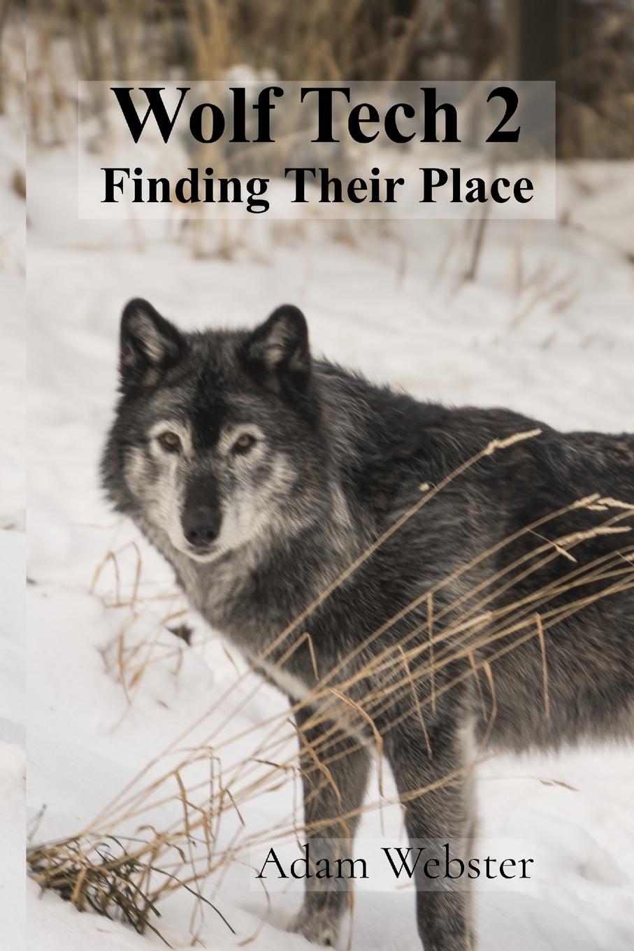 Vorderes Coverbild Wolf Tech 2