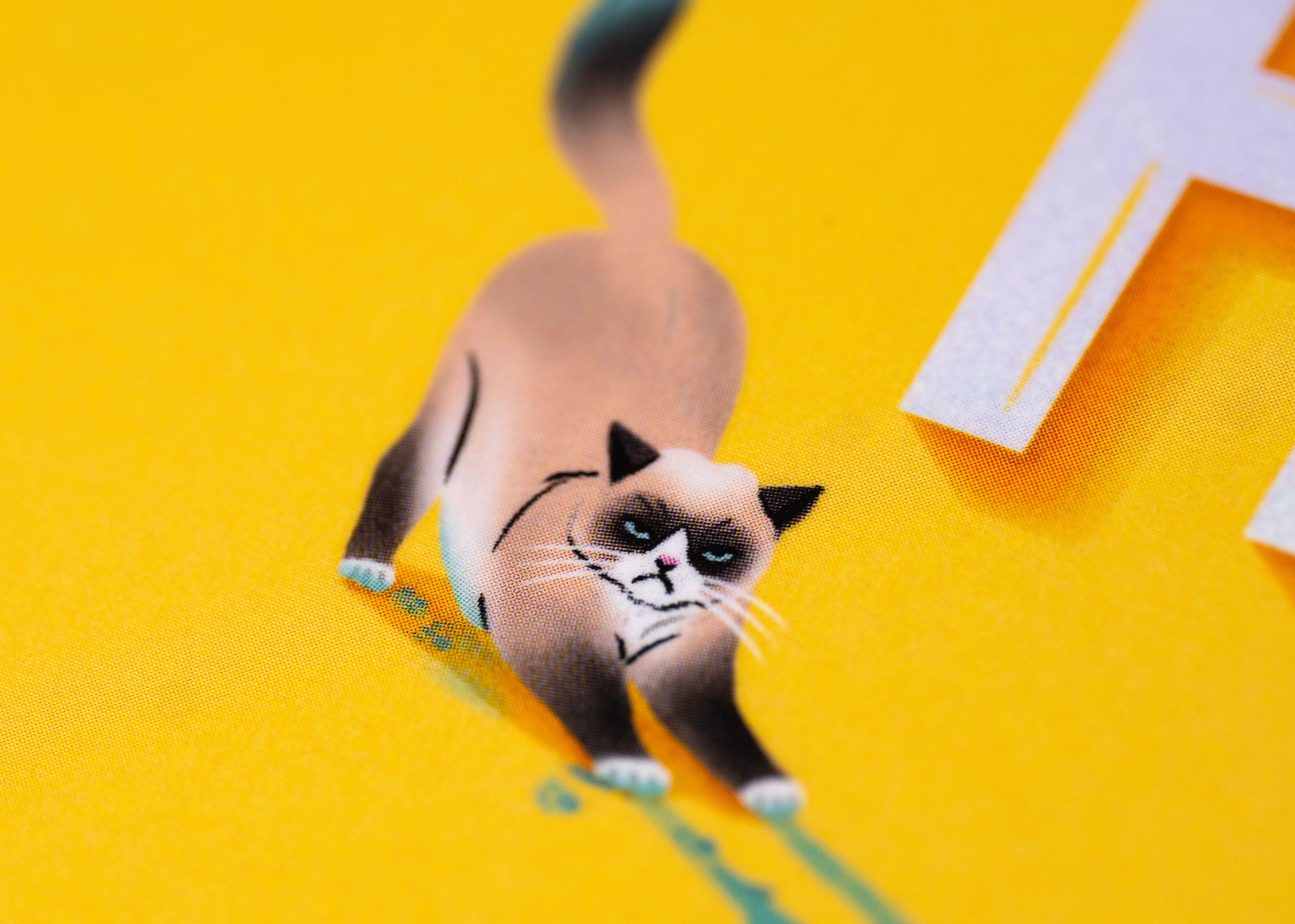 Beispielinhalt (Bild) Today I'll Fall For Him (3)