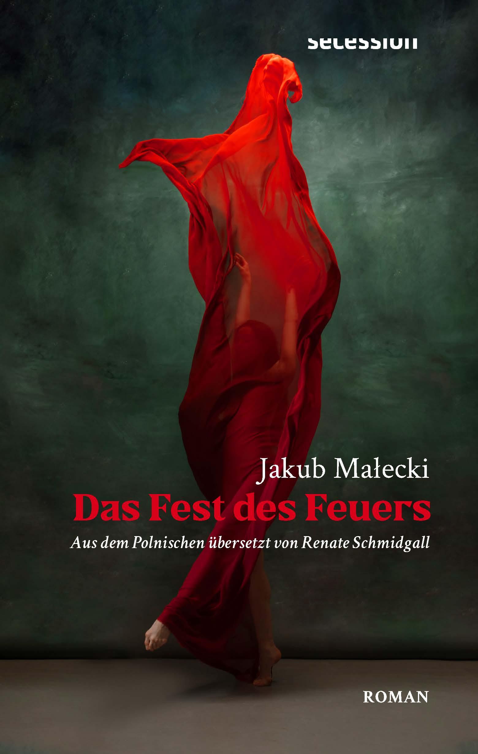 Vorderes Coverbild Das Fest des Feuers
