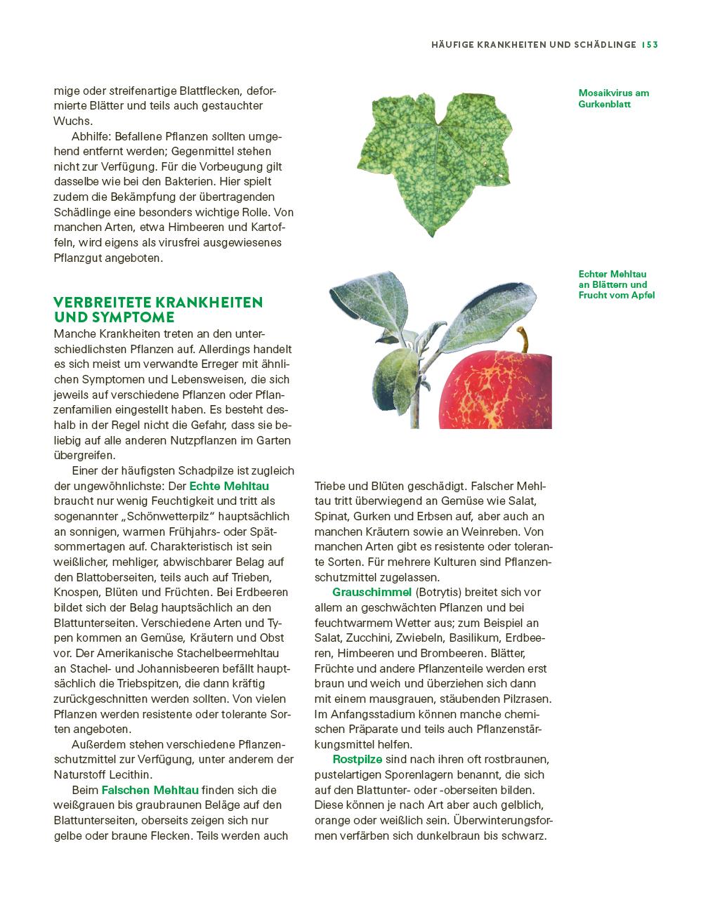 Beispielinhalt (Bild) Das große Gemüse- und Obstgartenbuch