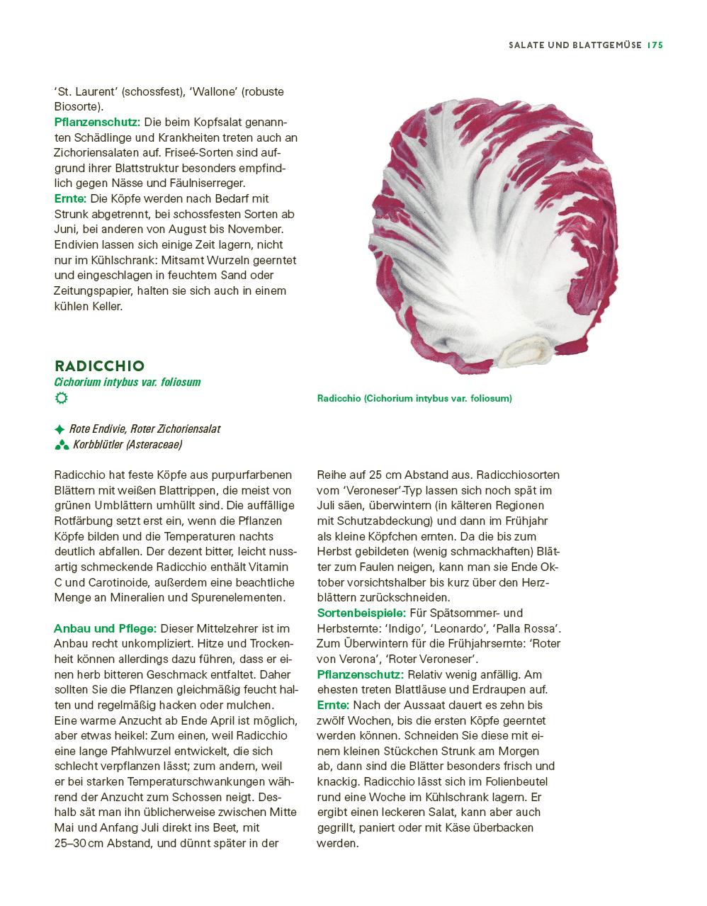Beispielinhalt (Bild) Das große Gemüse- und Obstgartenbuch