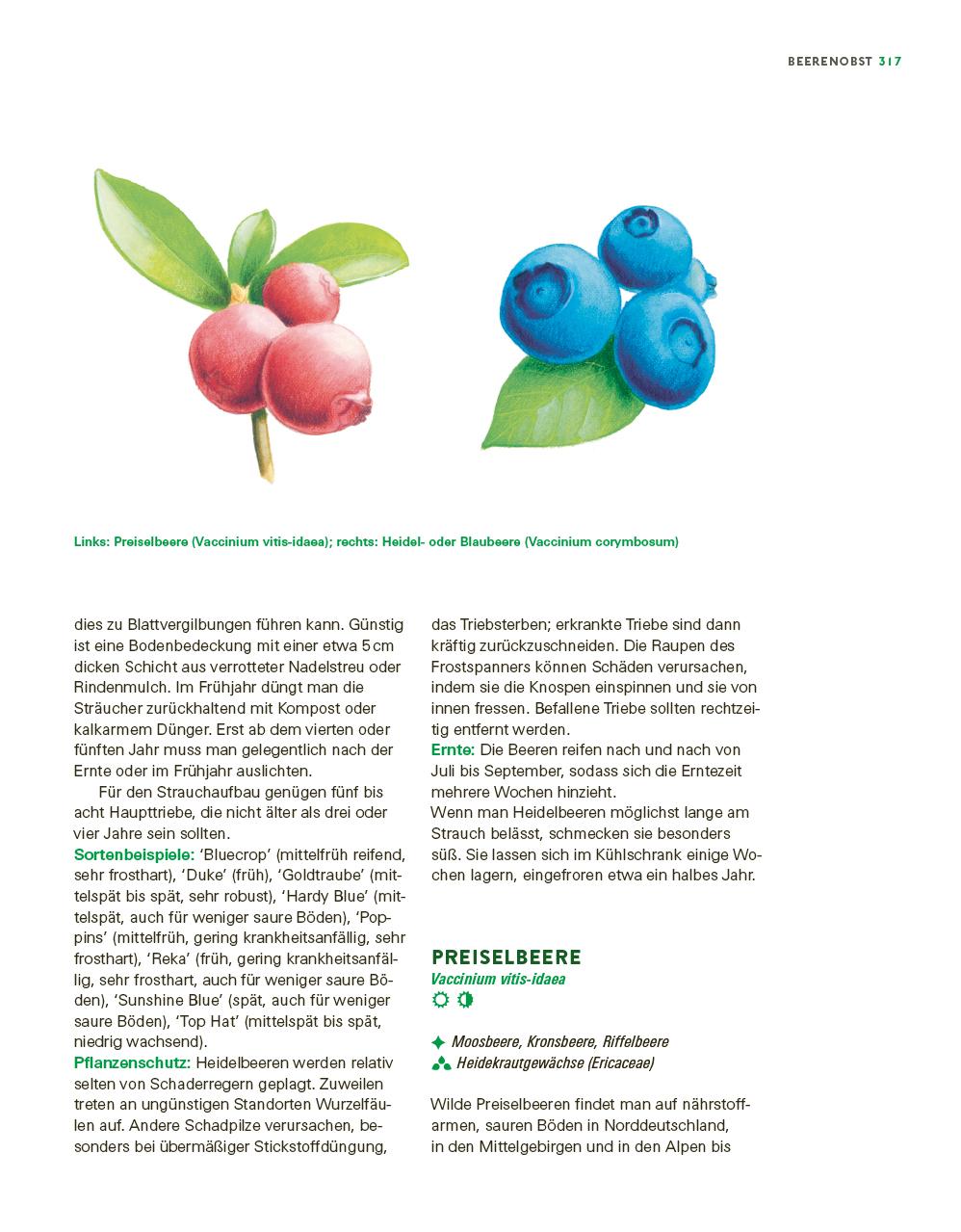 Beispielinhalt (Bild) Das große Gemüse- und Obstgartenbuch
