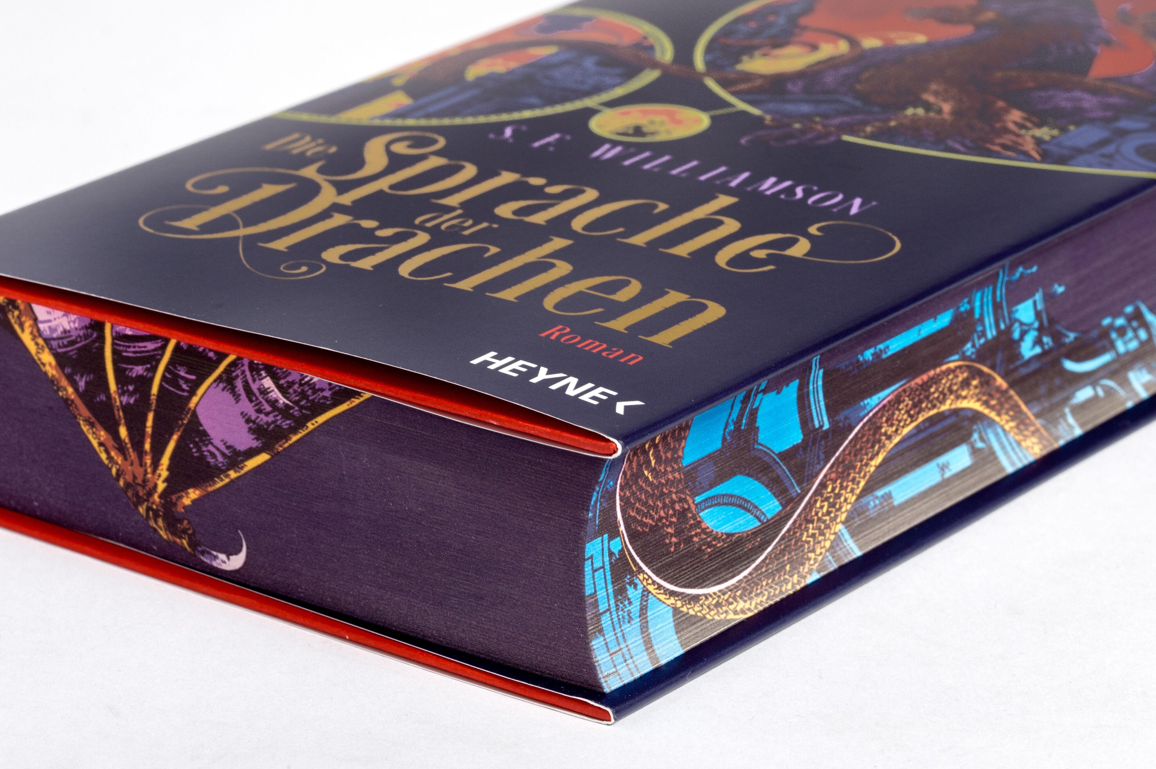 Beispielinhalt (Bild) Die Sprache der Drachen