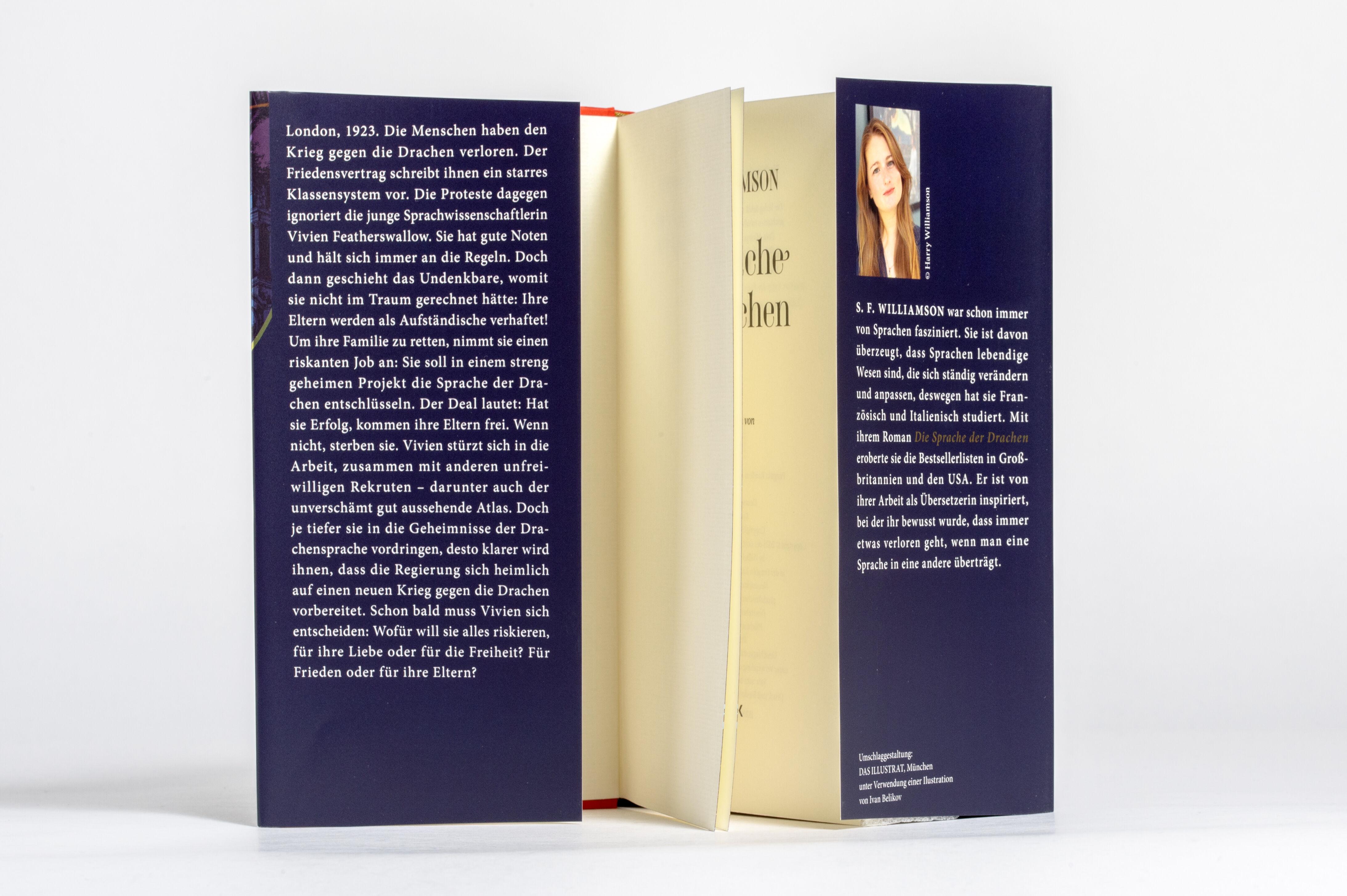 Beispielinhalt (Bild) Die Sprache der Drachen