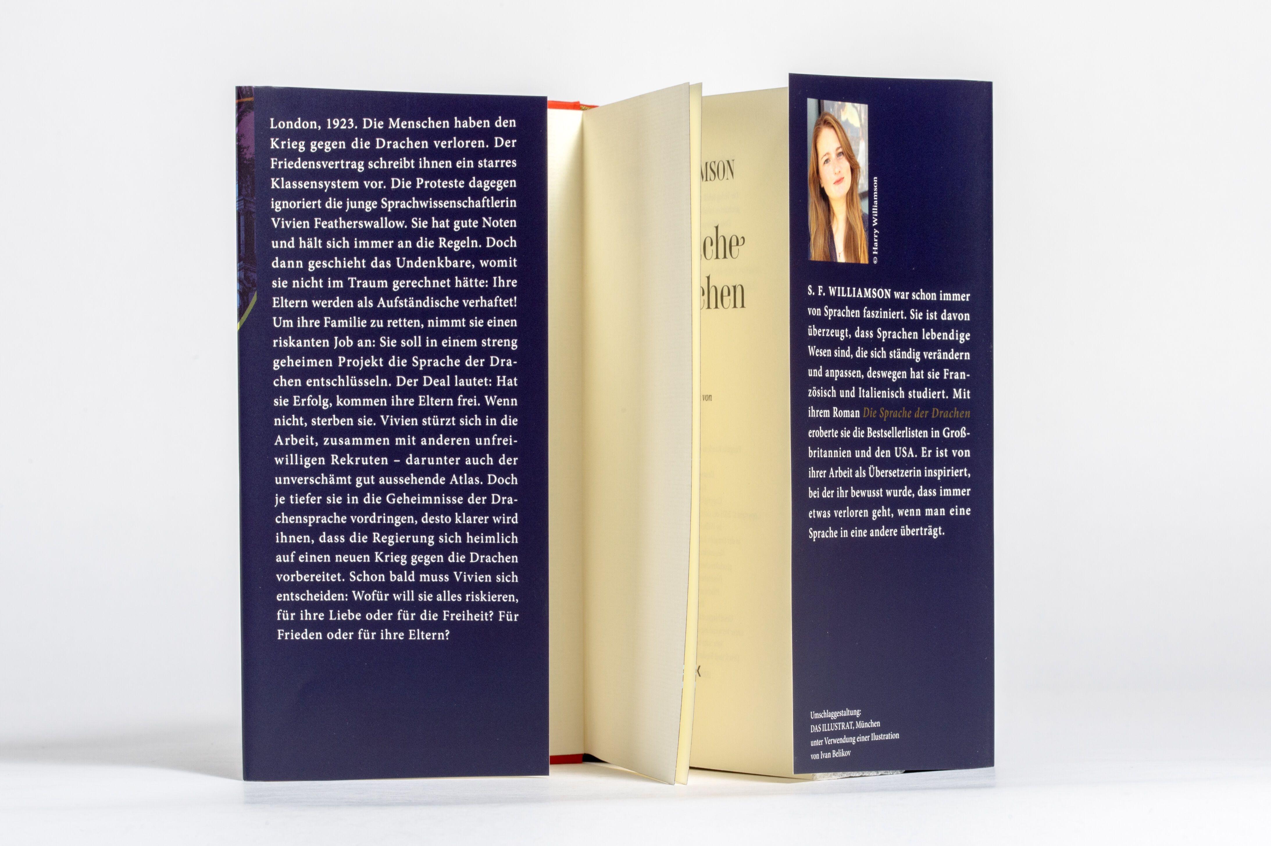 Beispielinhalt (Bild) Die Sprache der Drachen