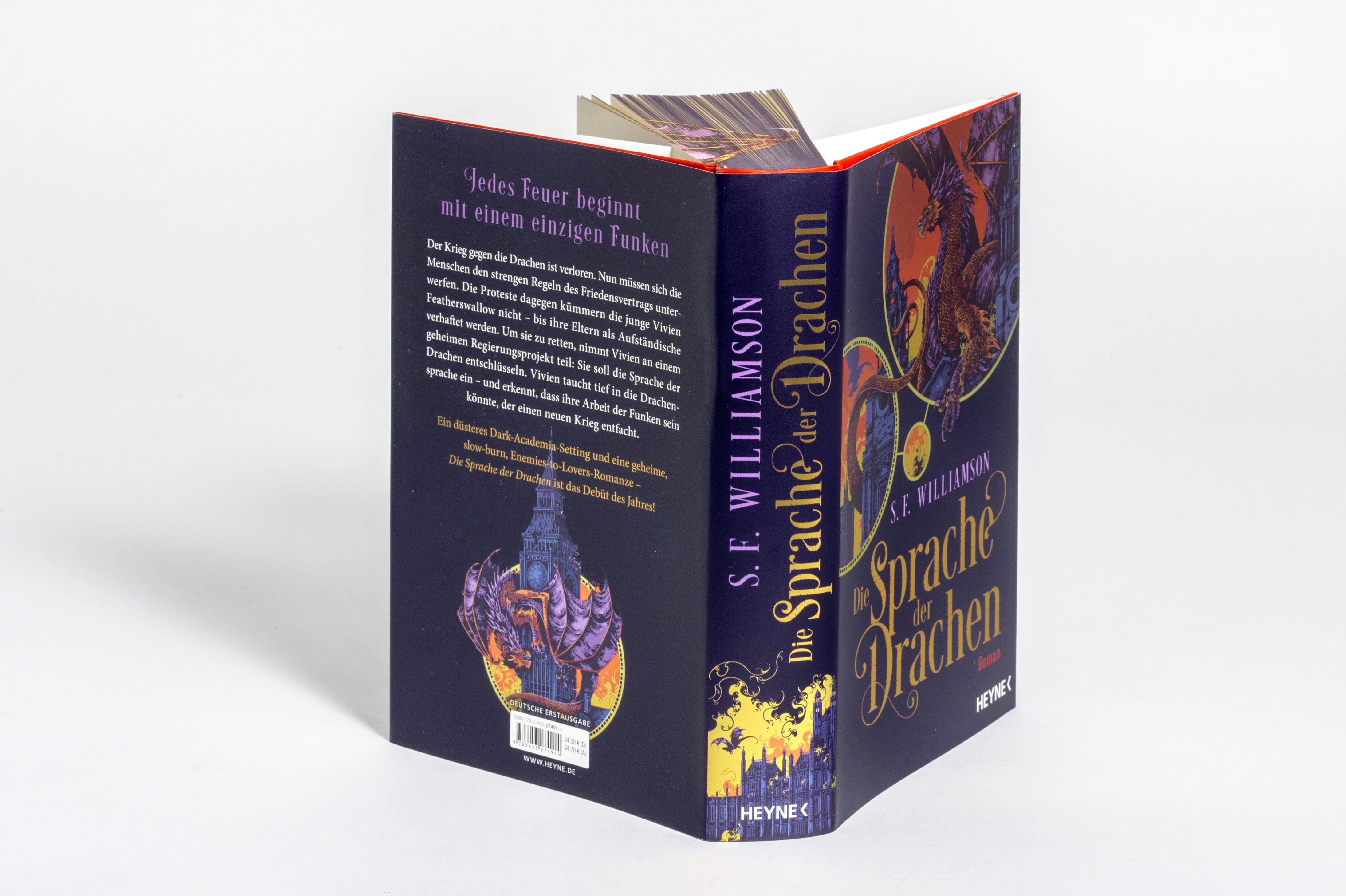 Beispielinhalt (Bild) Die Sprache der Drachen