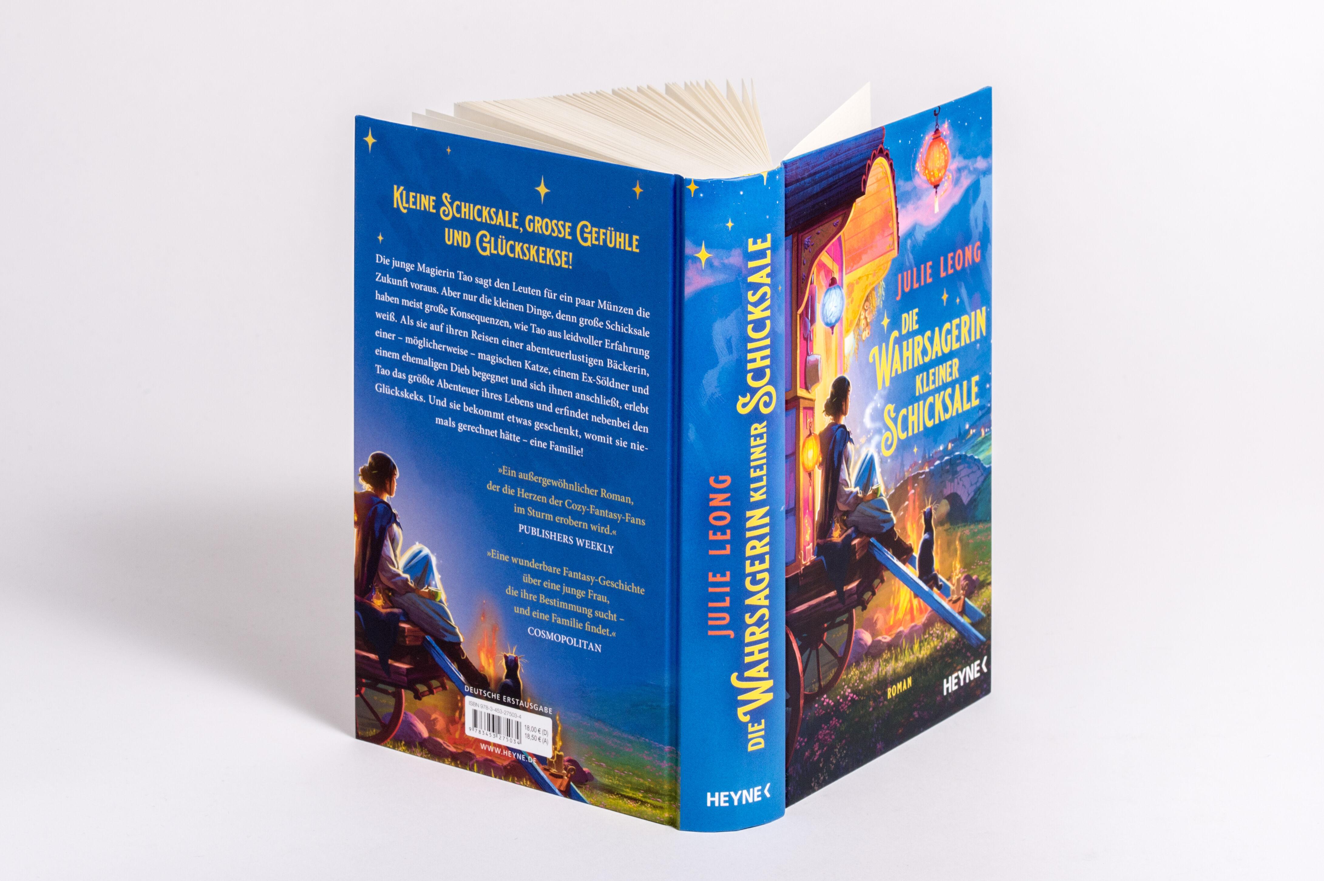 Beispielinhalt (Bild) Die Wahrsagerin kleiner Schicksale