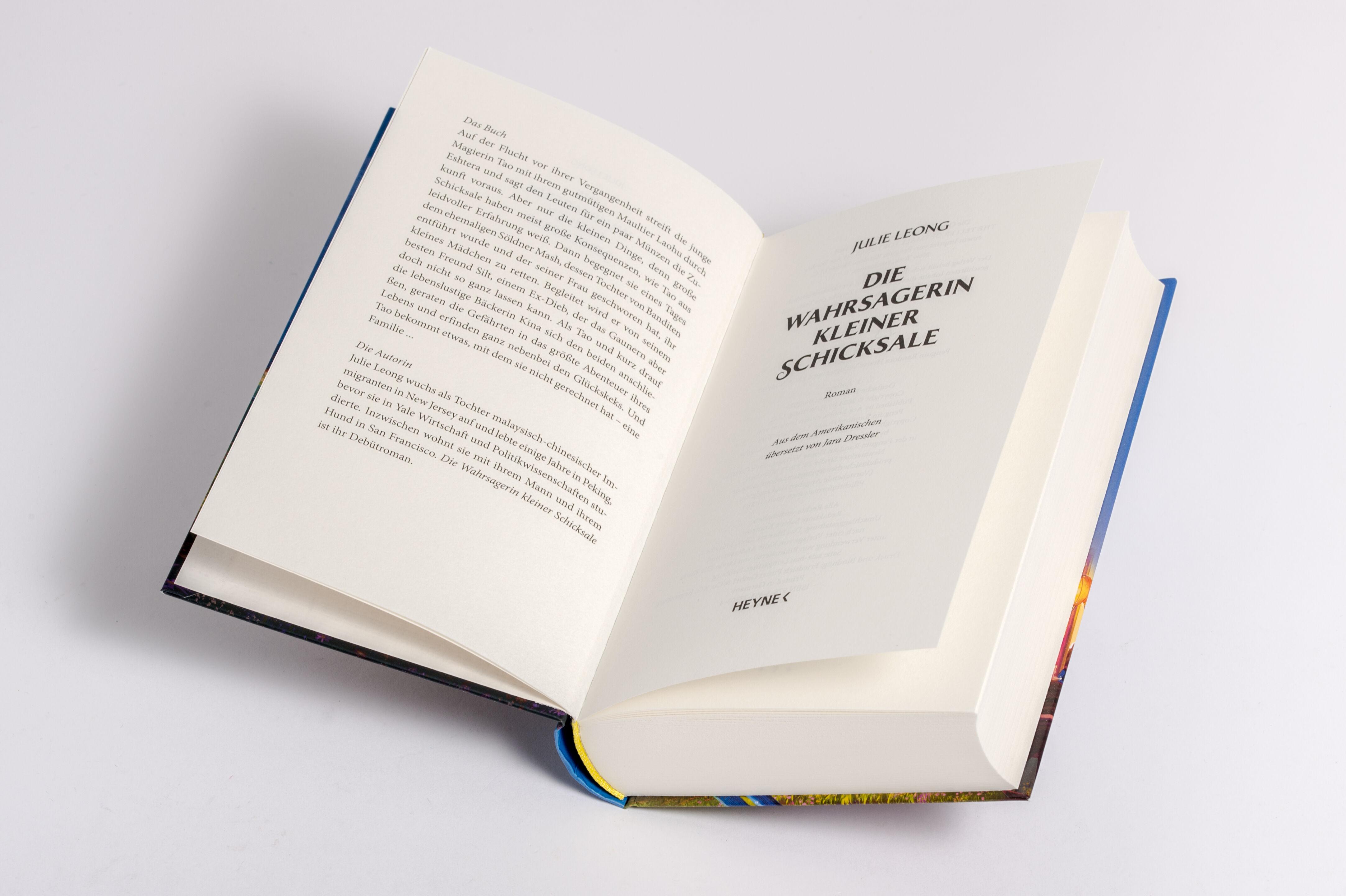 Beispielinhalt (Bild) Die Wahrsagerin kleiner Schicksale