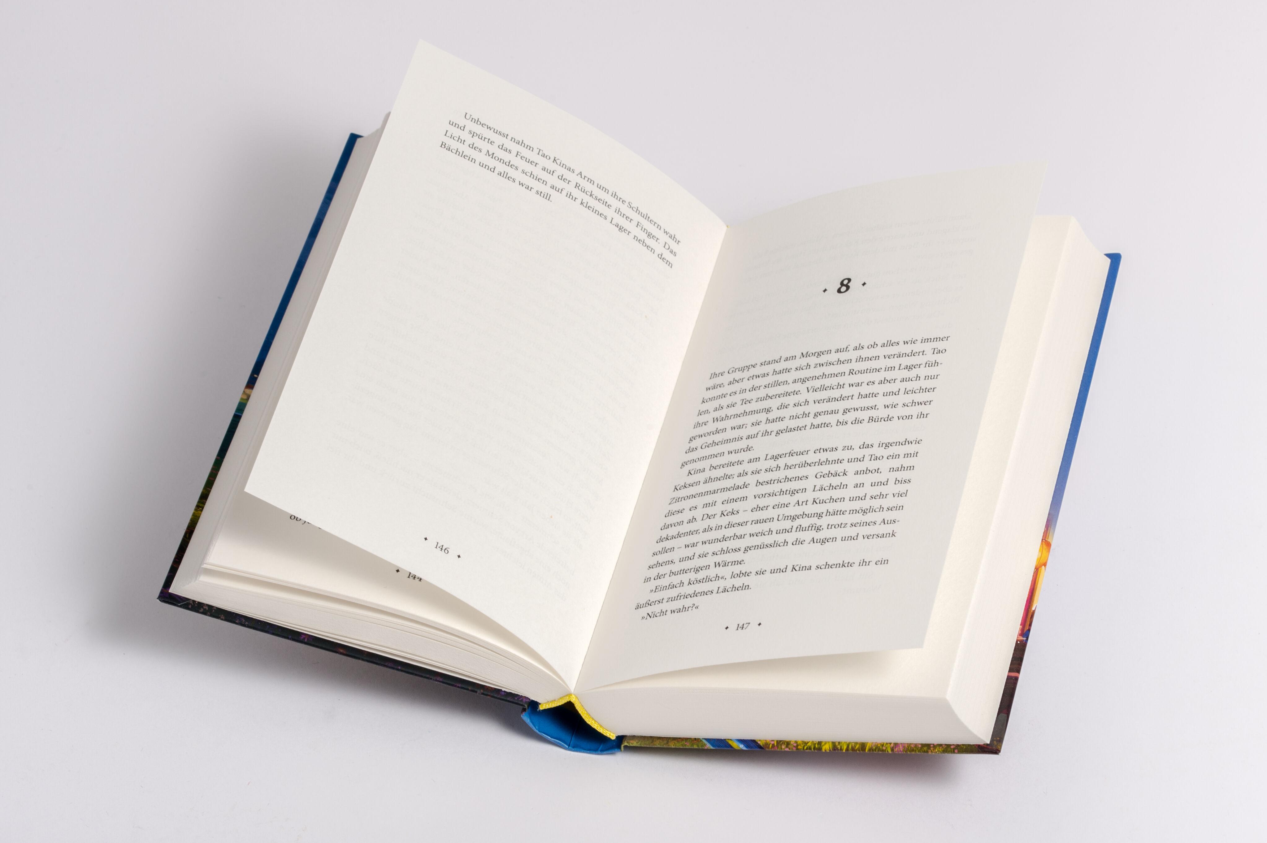 Beispielinhalt (Bild) Die Wahrsagerin kleiner Schicksale