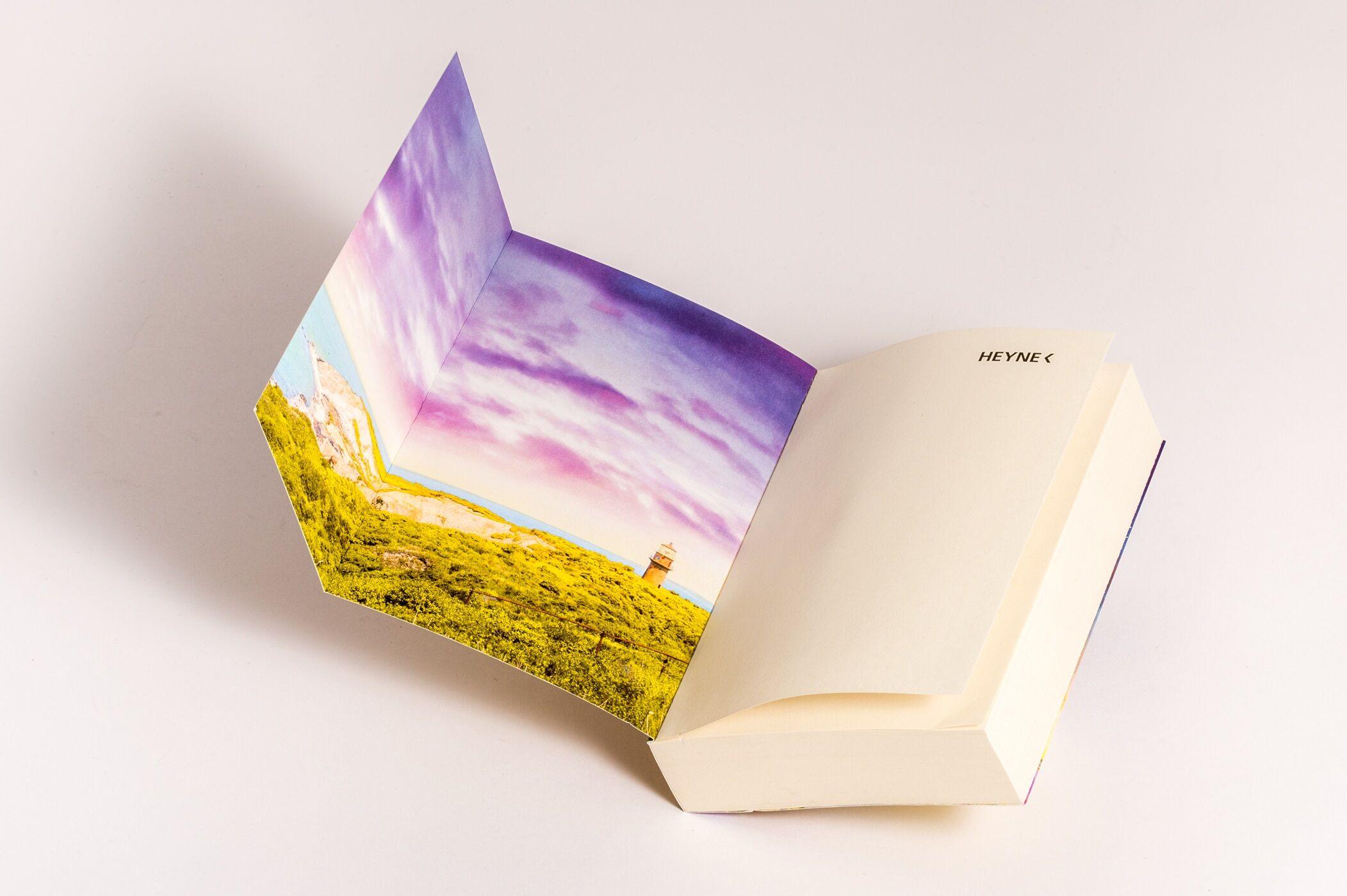 Beispielinhalt (Bild) Blumenmeere