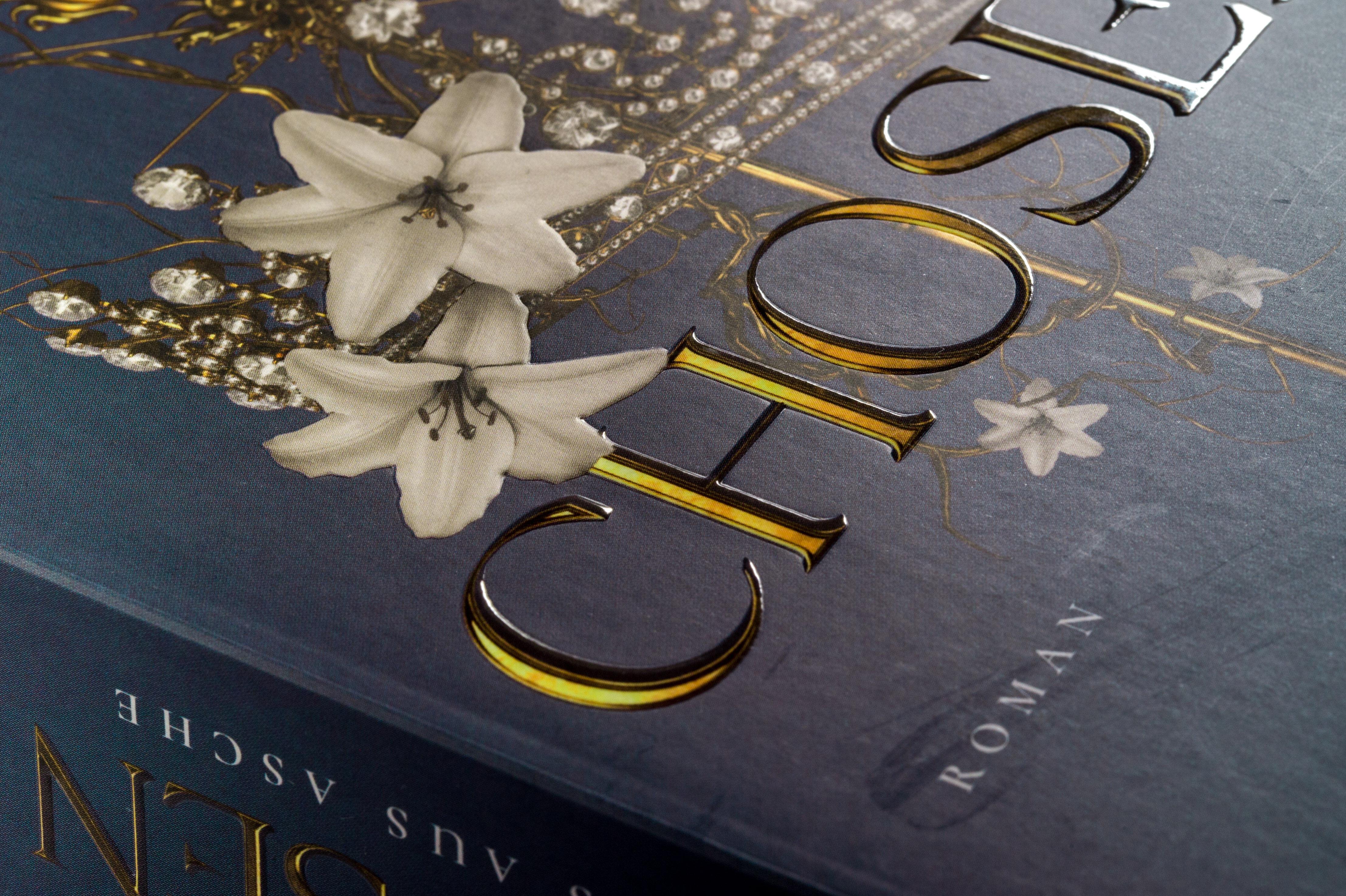 Beispielinhalt (Bild) Chosen - Haus aus Asche