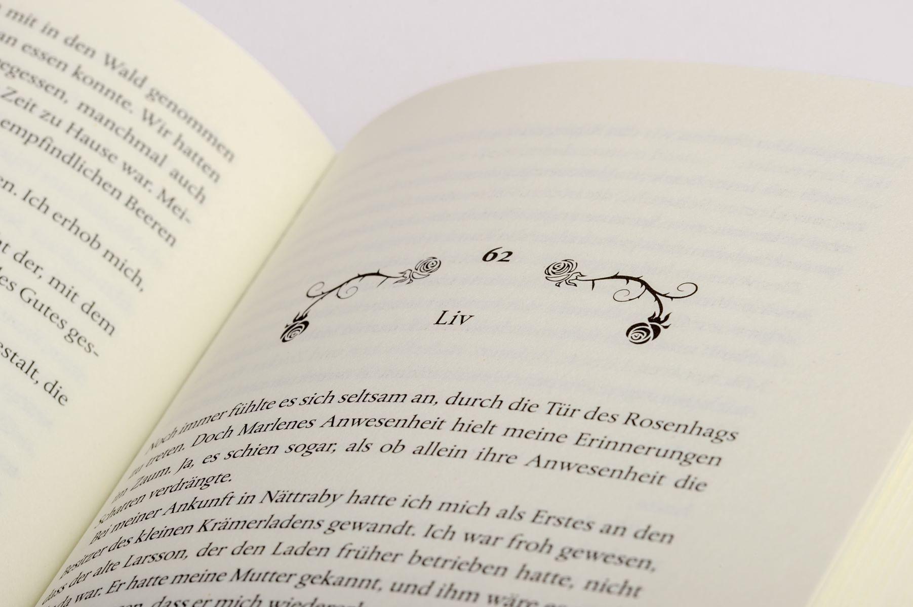 Beispielinhalt (Bild) Die Frauen vom Rosenhag. Traum vom Neubeginn