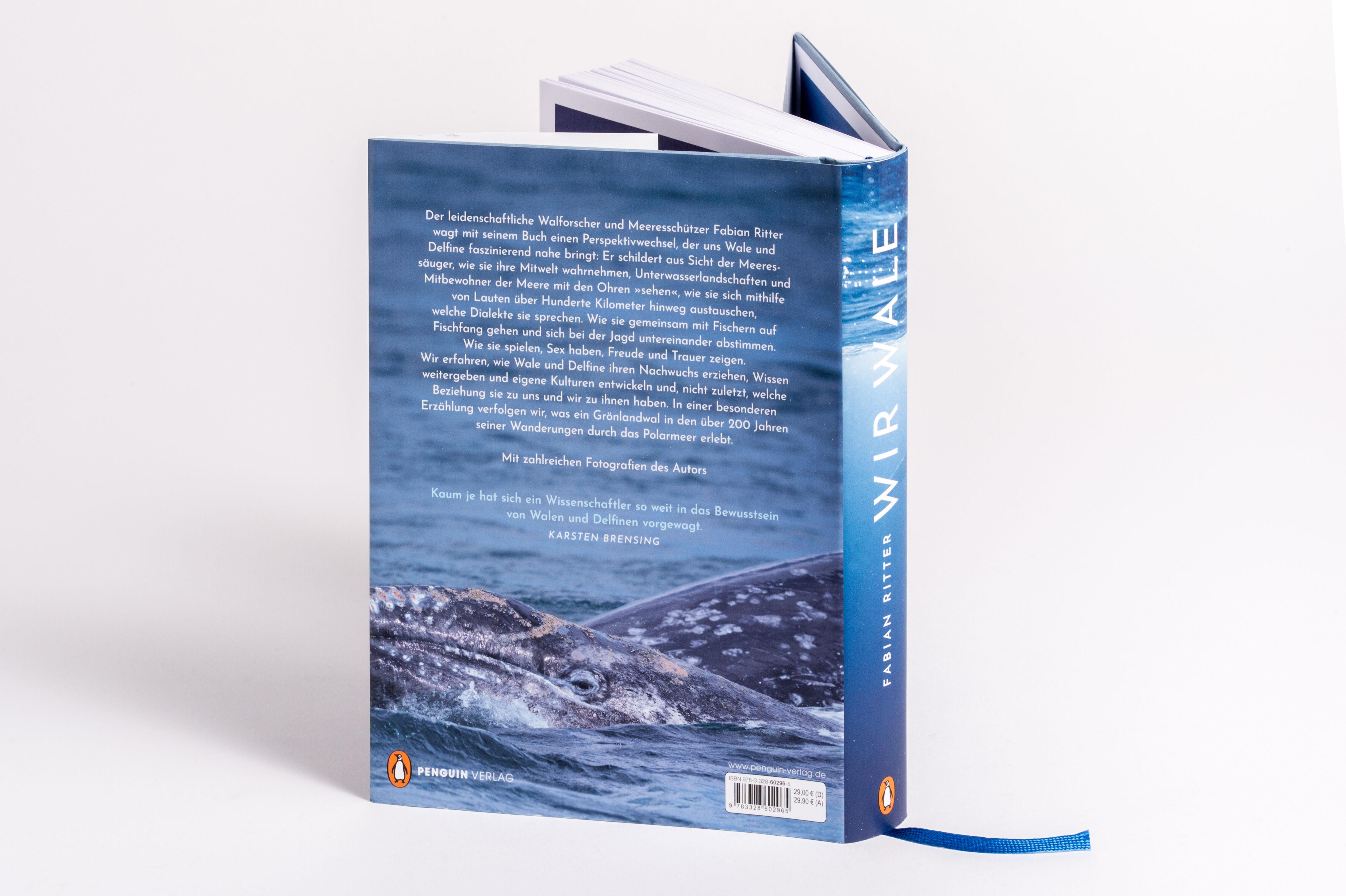 Beispielinhalt (Bild) Wir Wale