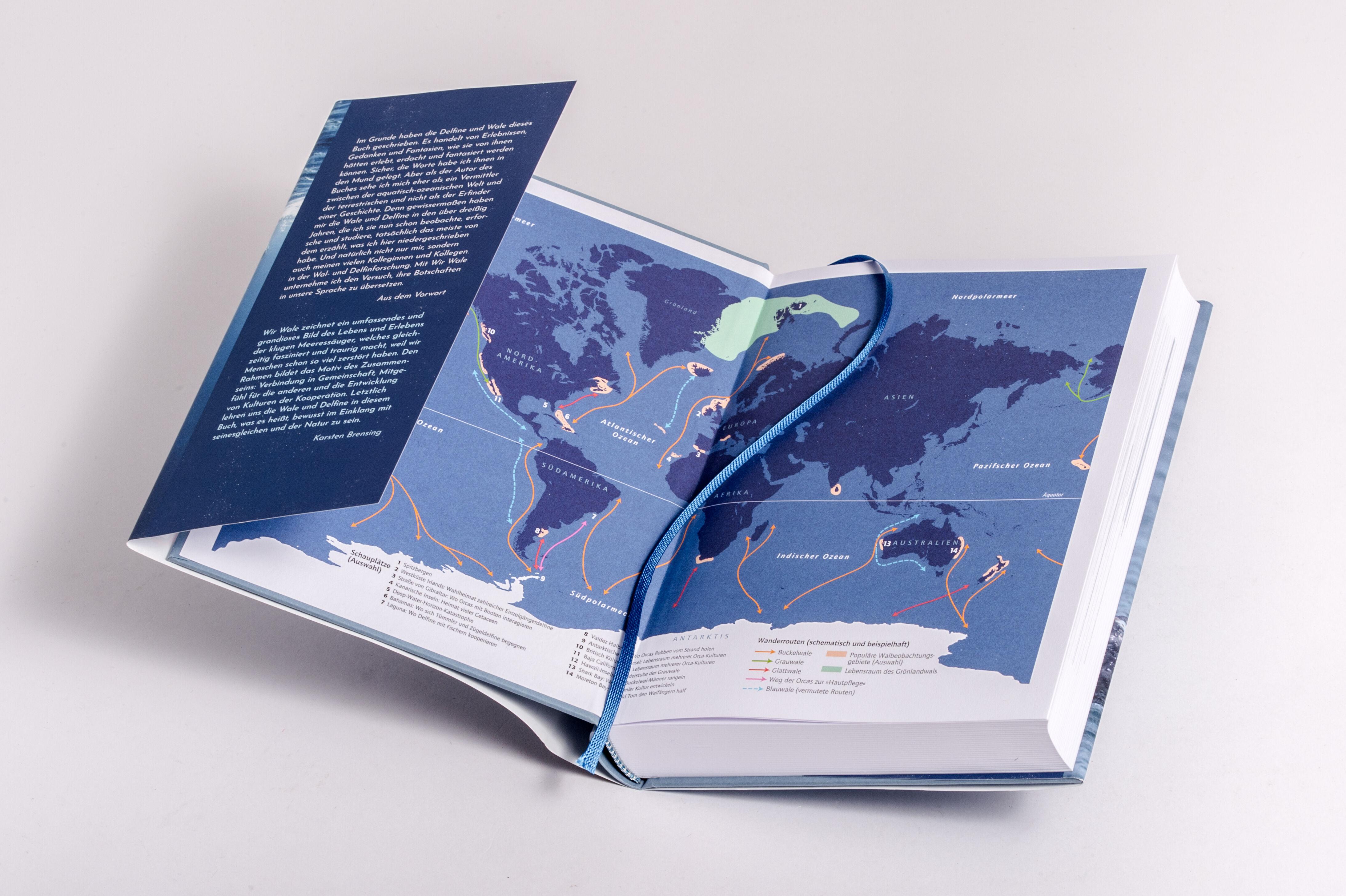 Beispielinhalt (Bild) Wir Wale