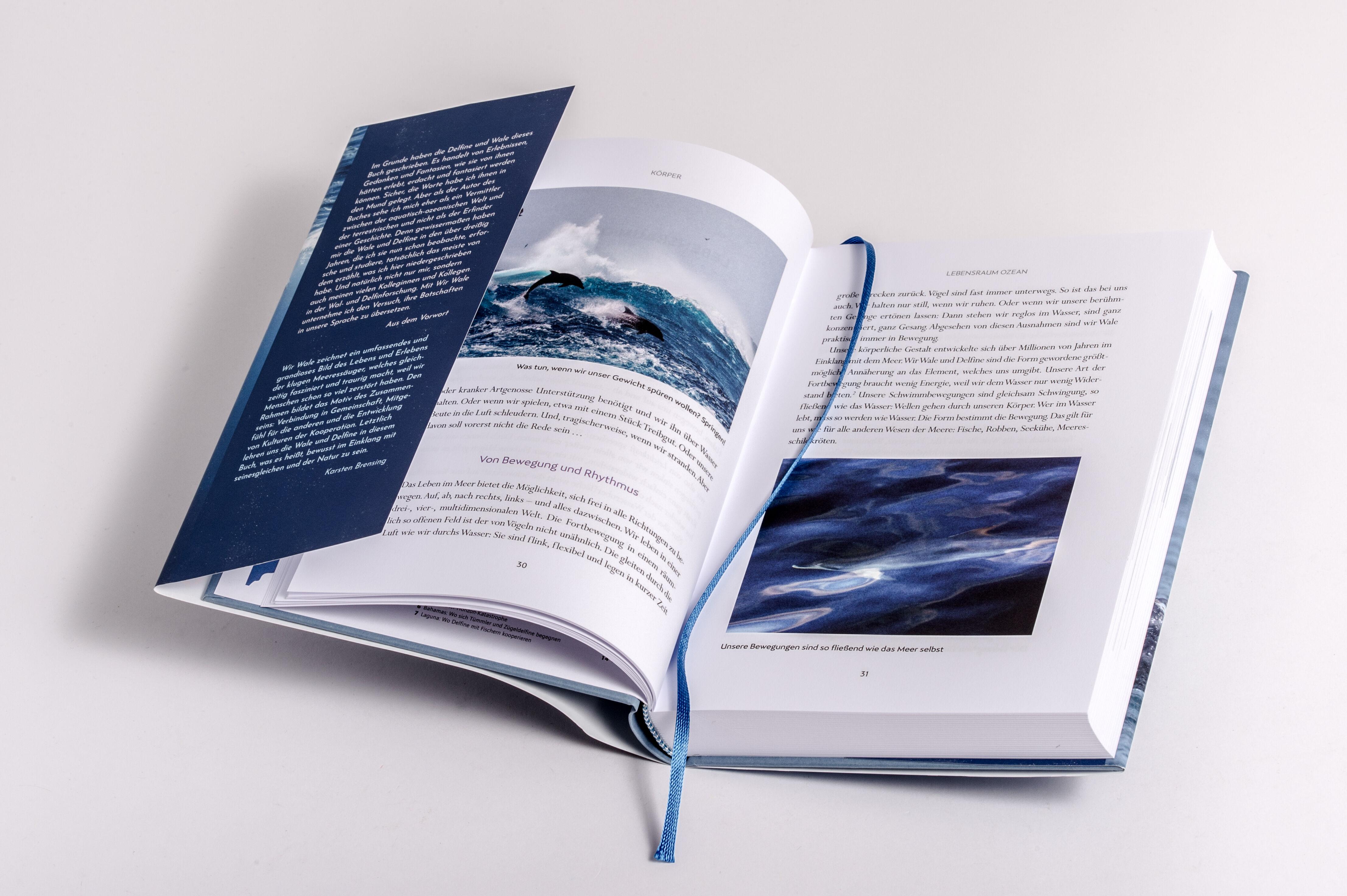 Beispielinhalt (Bild) Wir Wale