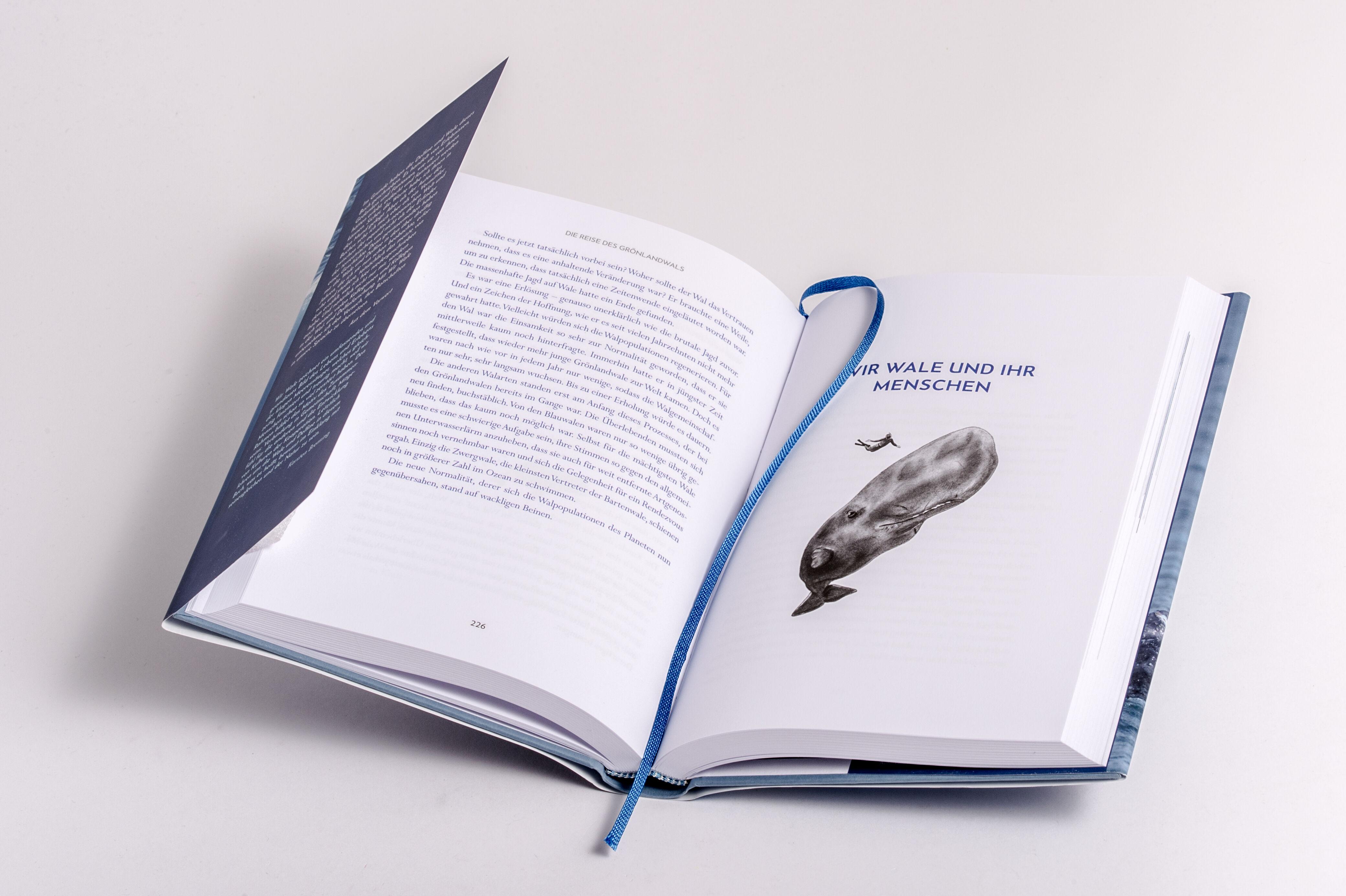 Beispielinhalt (Bild) Wir Wale