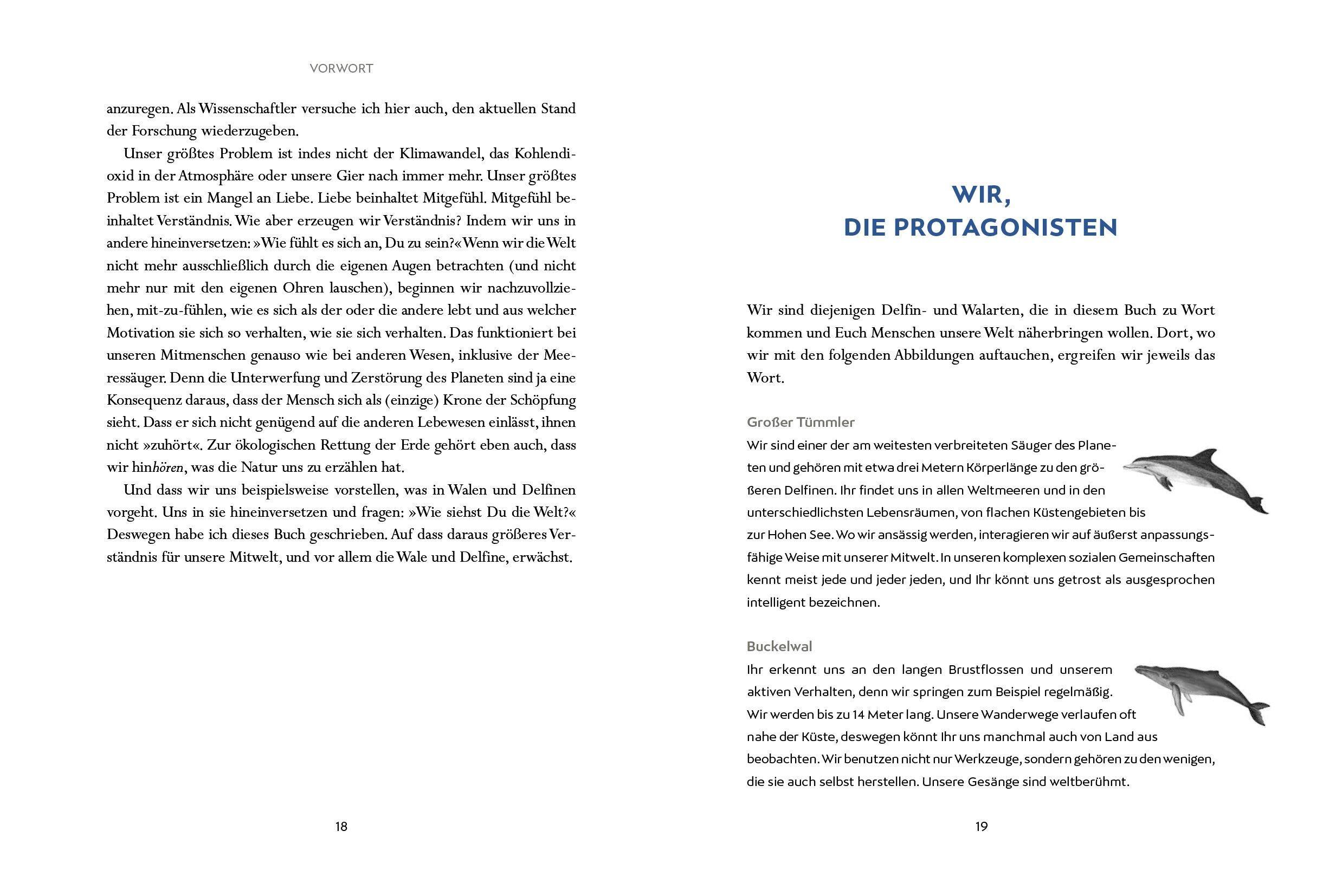 Beispielinhalt (Bild) Wir Wale