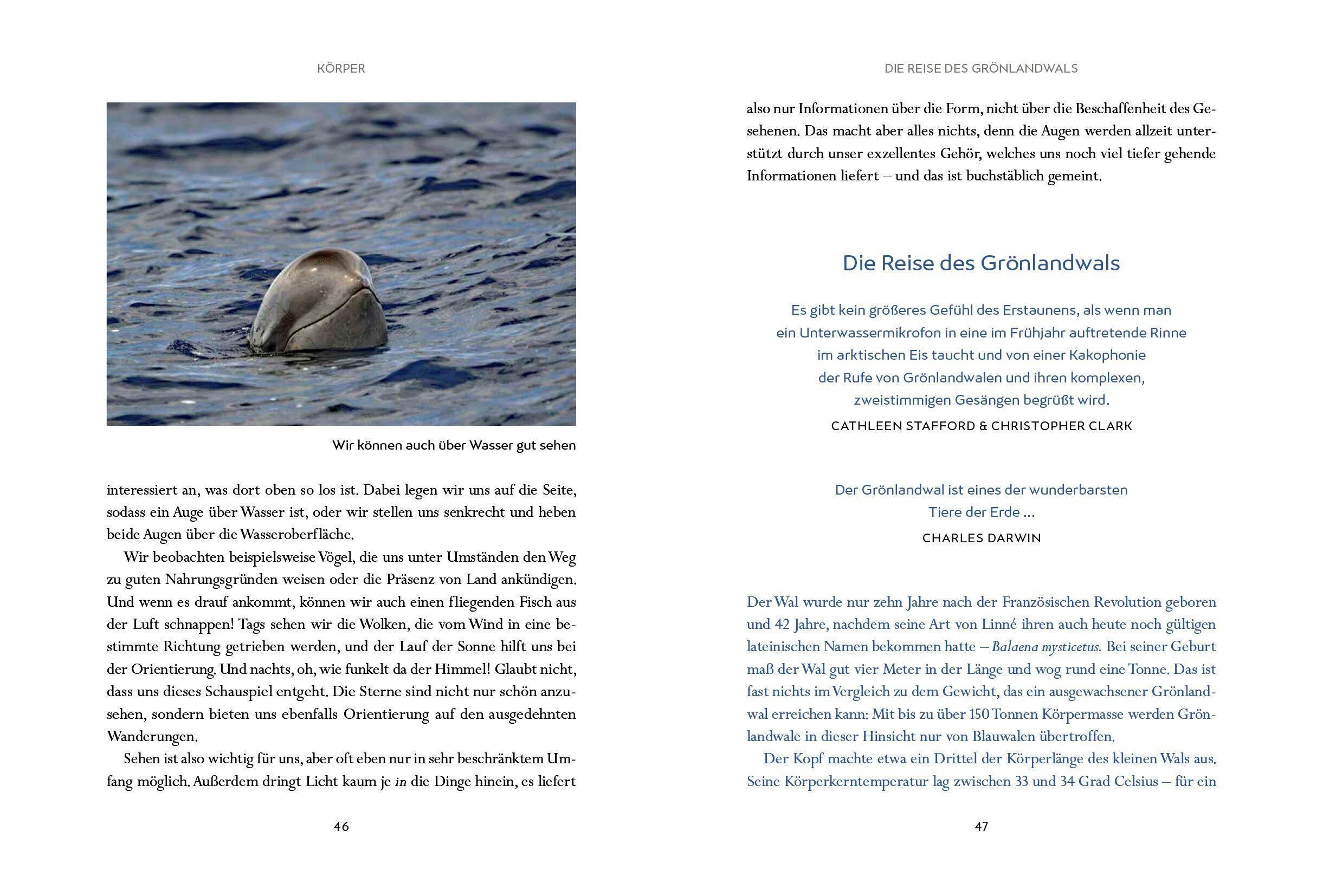 Beispielinhalt (Bild) Wir Wale