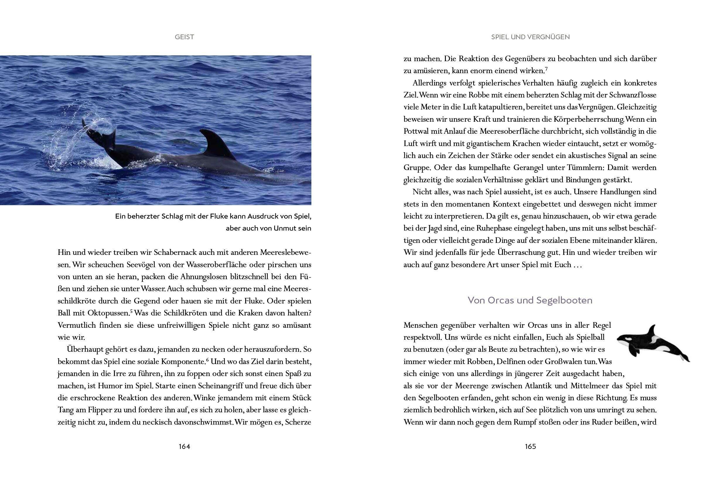 Beispielinhalt (Bild) Wir Wale