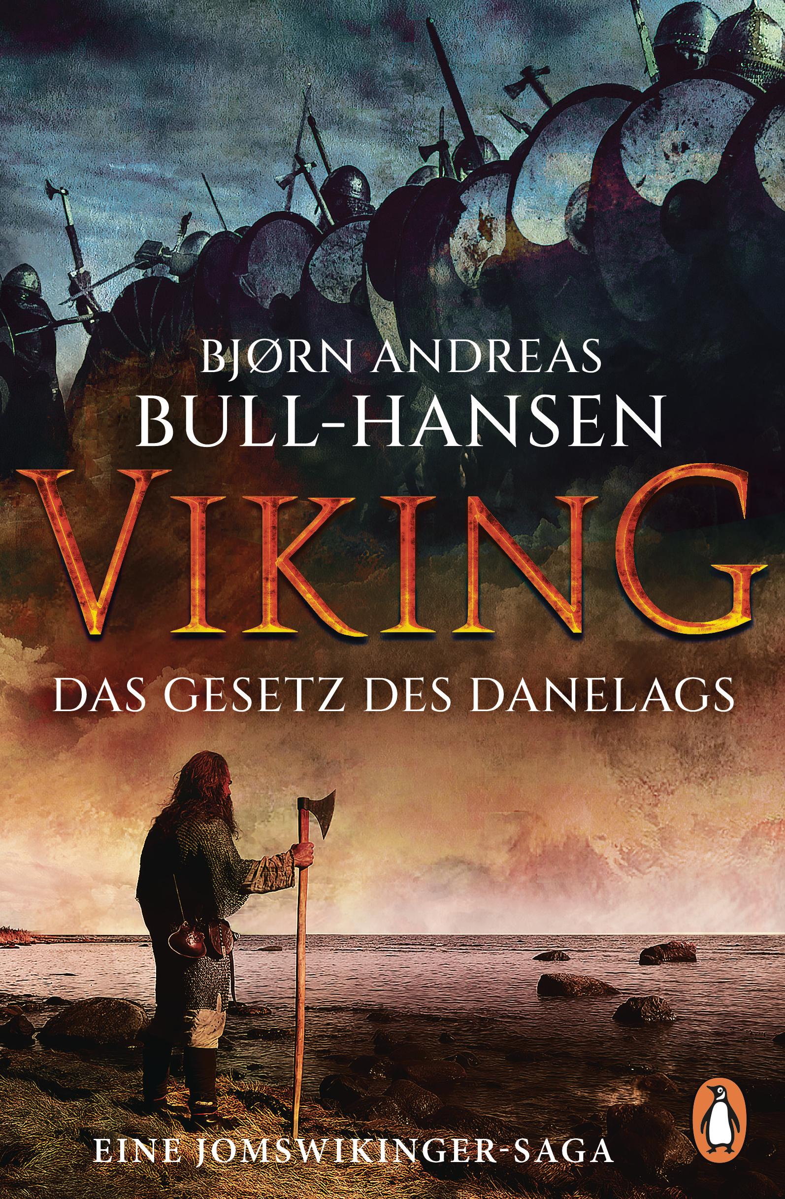 Vorderes Coverbild VIKING ¿ Das Gesetz des Danelags