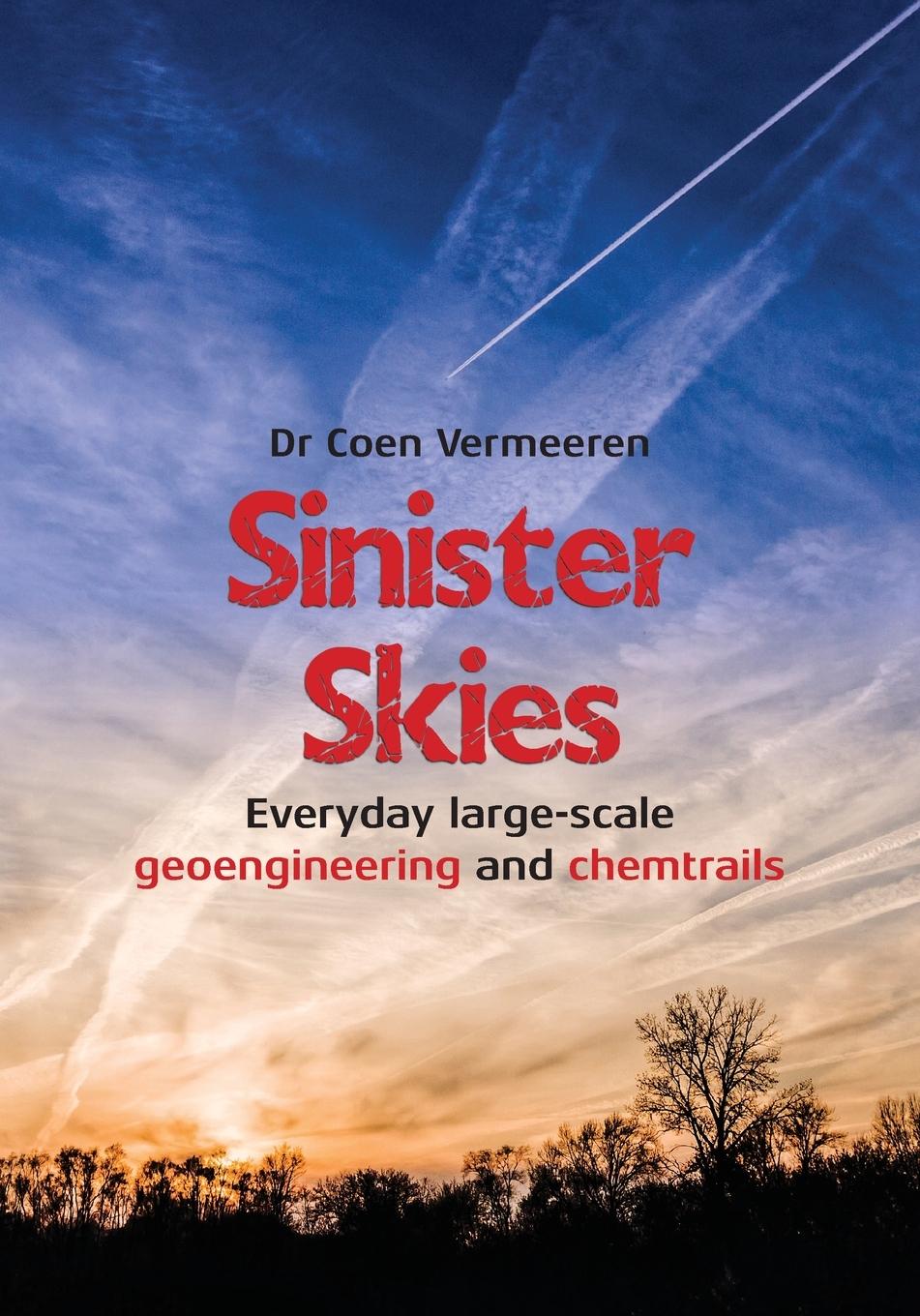 Vorderes Coverbild Sinister Skies