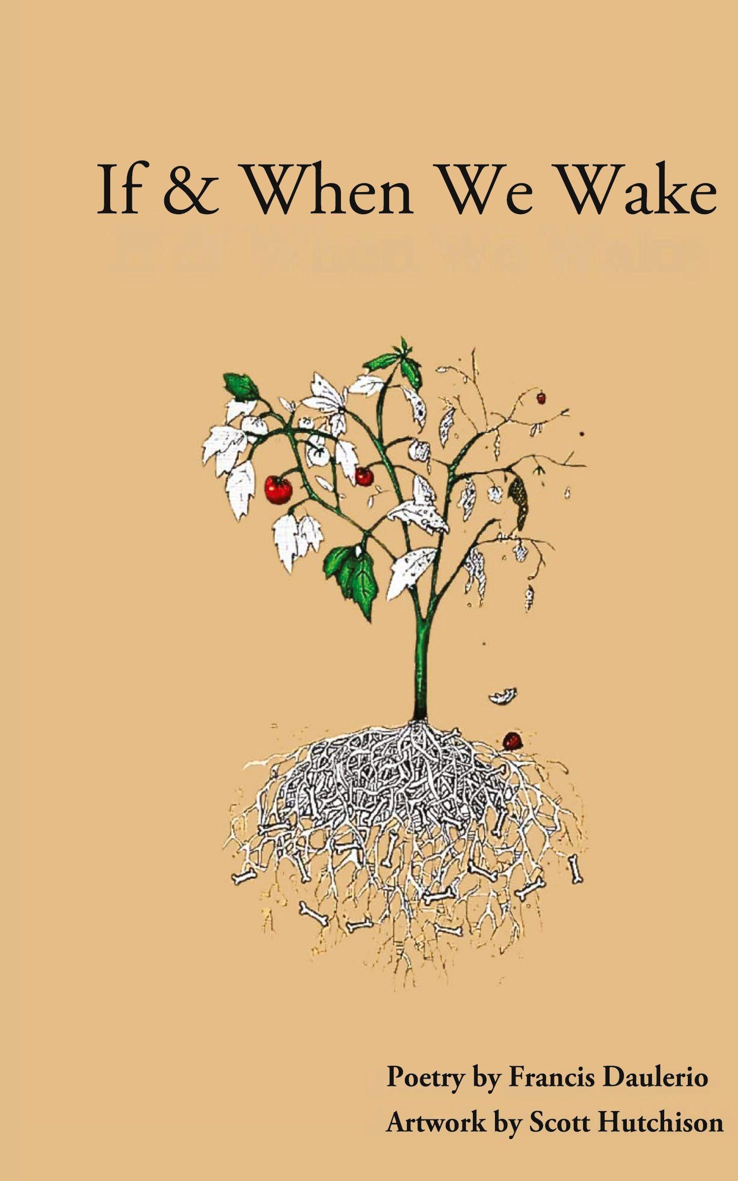 Vorderes Coverbild If & When We Wake