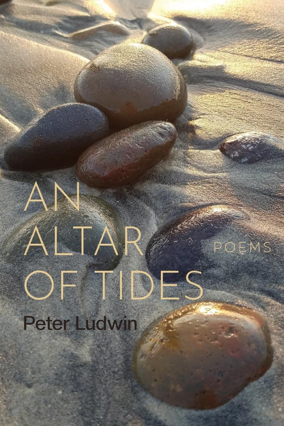 Vorderes Coverbild An Altar of Tides