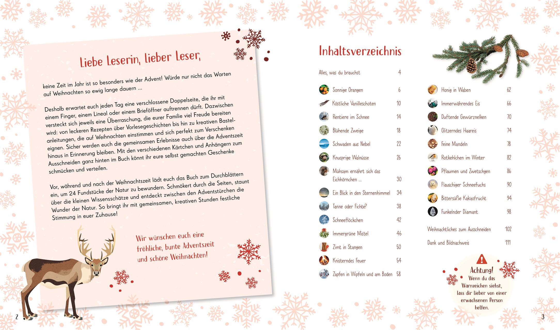Beispielinhalt (Bild) Wundervolle Welt. Adventskalender