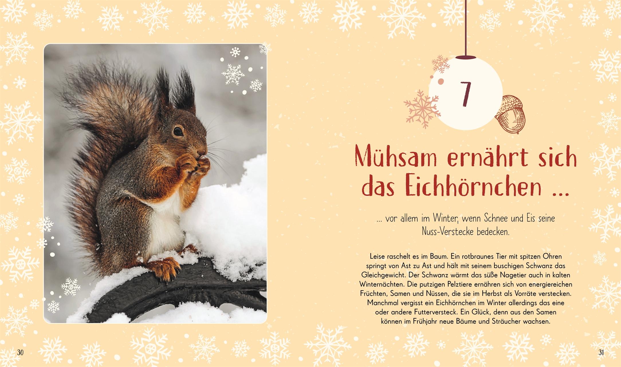 Beispielinhalt (Bild) Wundervolle Welt. Adventskalender