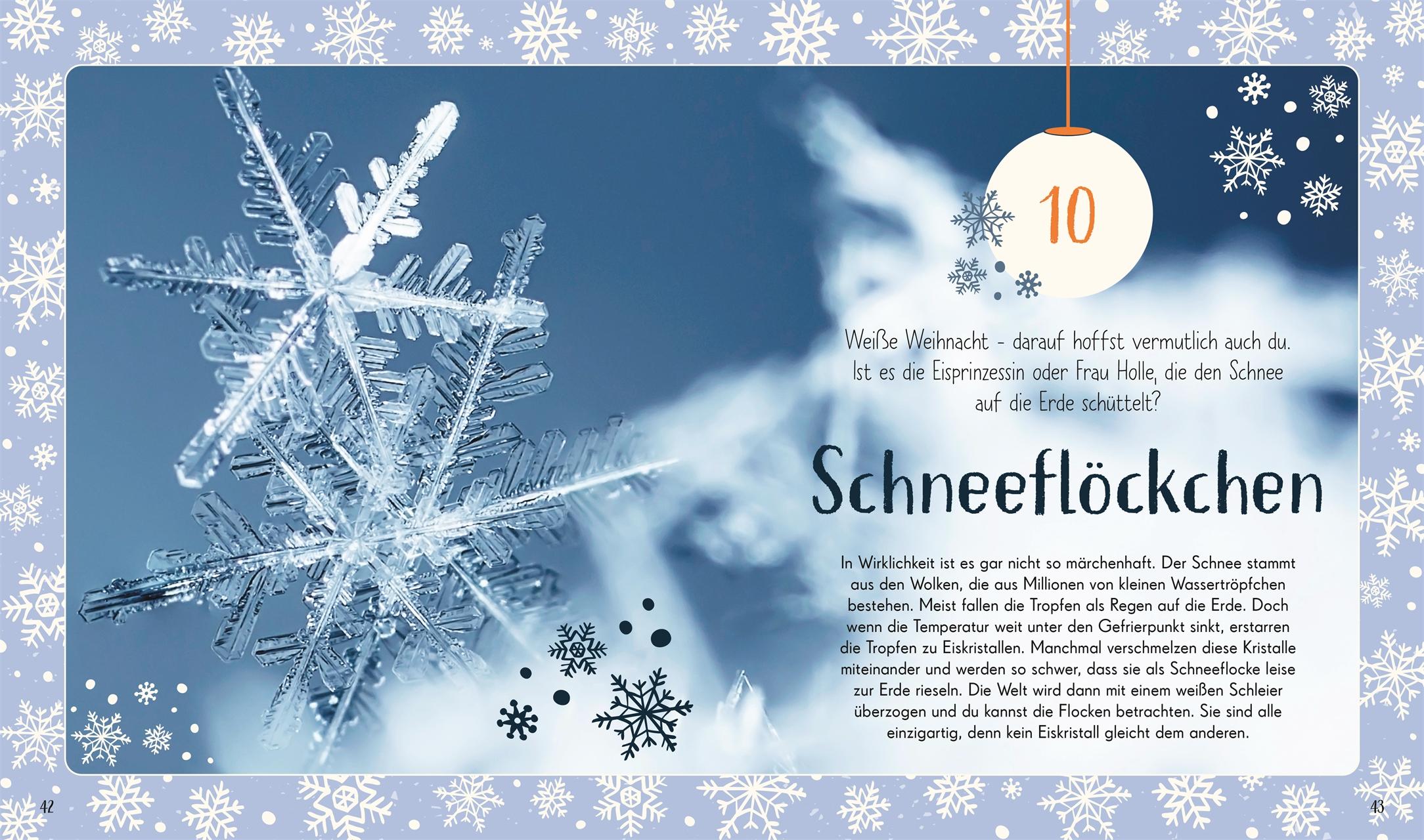 Beispielinhalt (Bild) Wundervolle Welt. Adventskalender