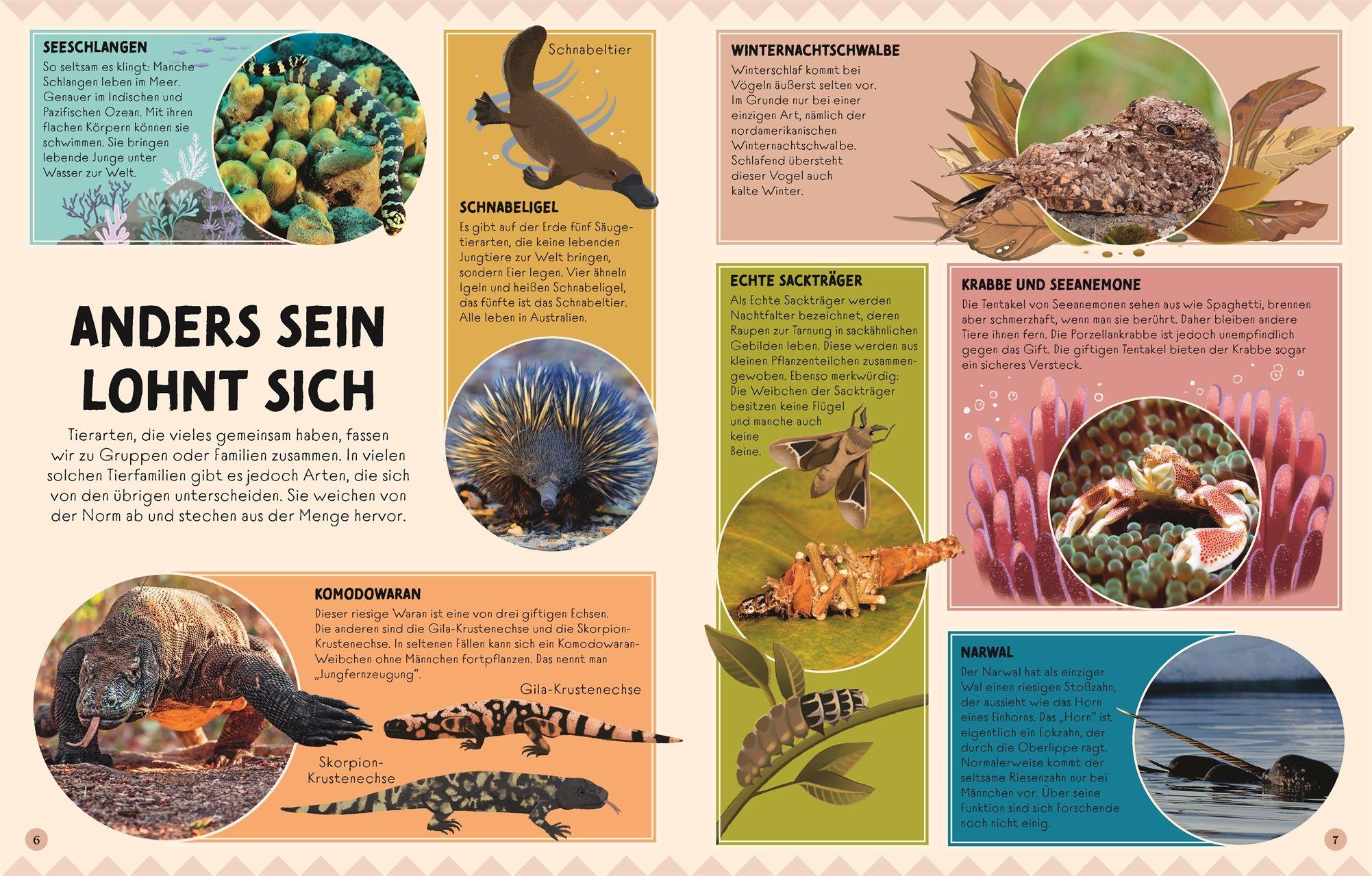Beispielinhalt (Bild) Seltsame Tiere, die es wirklich gibt