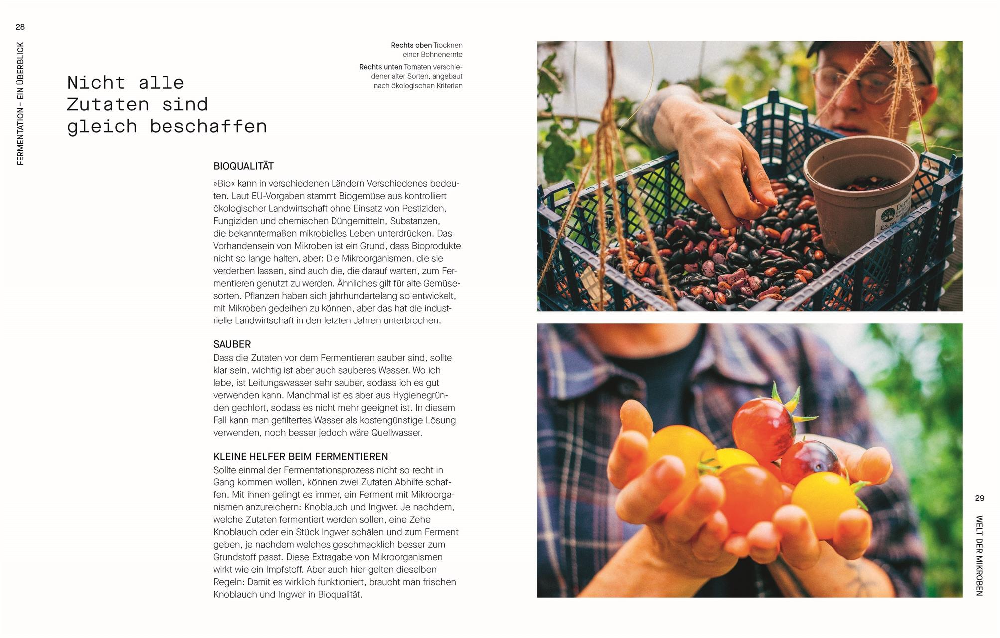 Beispielinhalt (Bild) Fermentieren. Rezepte und Techniken für Geschmack, den man nicht kaufen kann