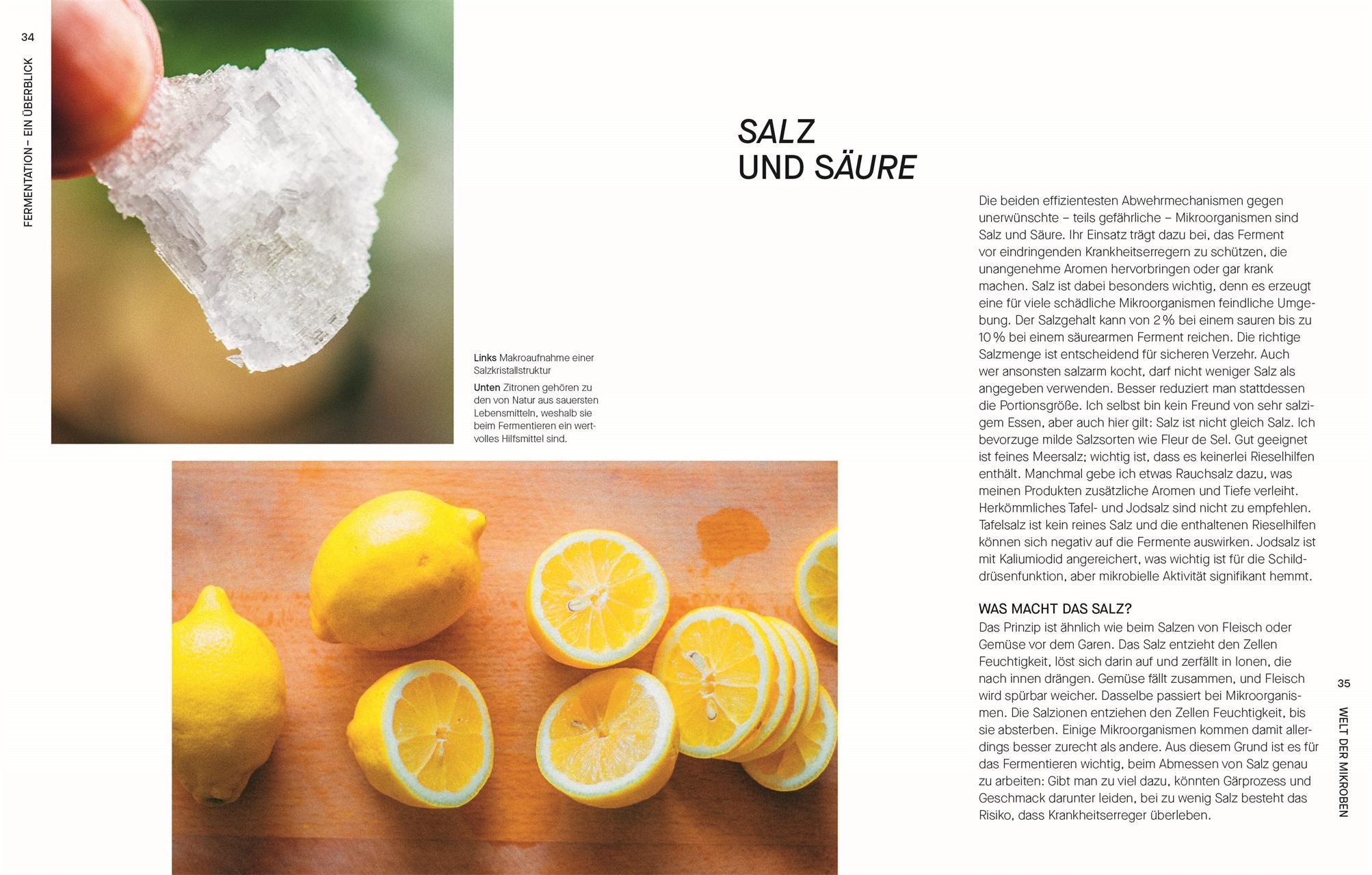Beispielinhalt (Bild) Fermentieren. Rezepte und Techniken für Geschmack, den man nicht kaufen kann